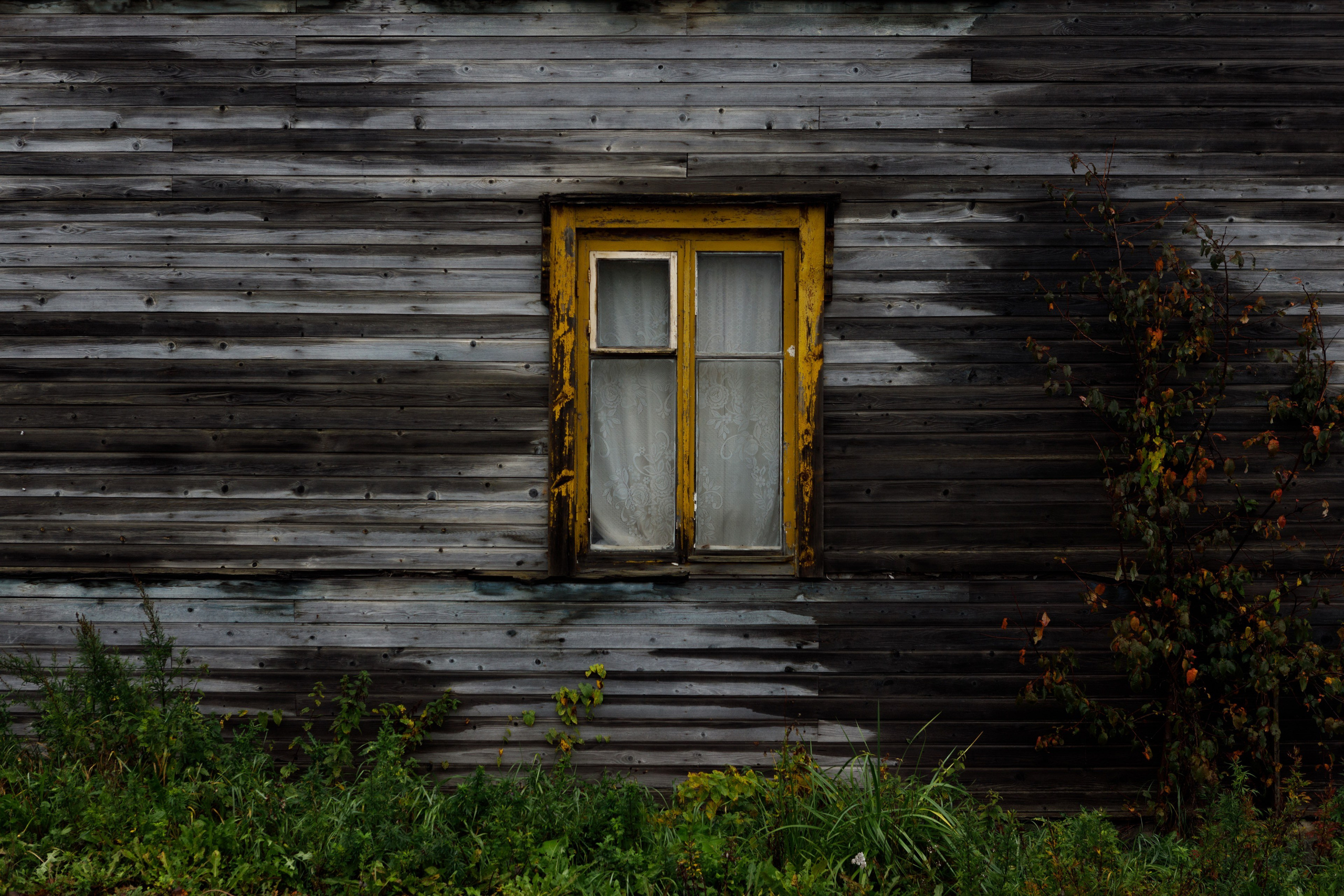 Photos for the Ladoga Skerries National Park. Commercial photographer | Anton Ermakov