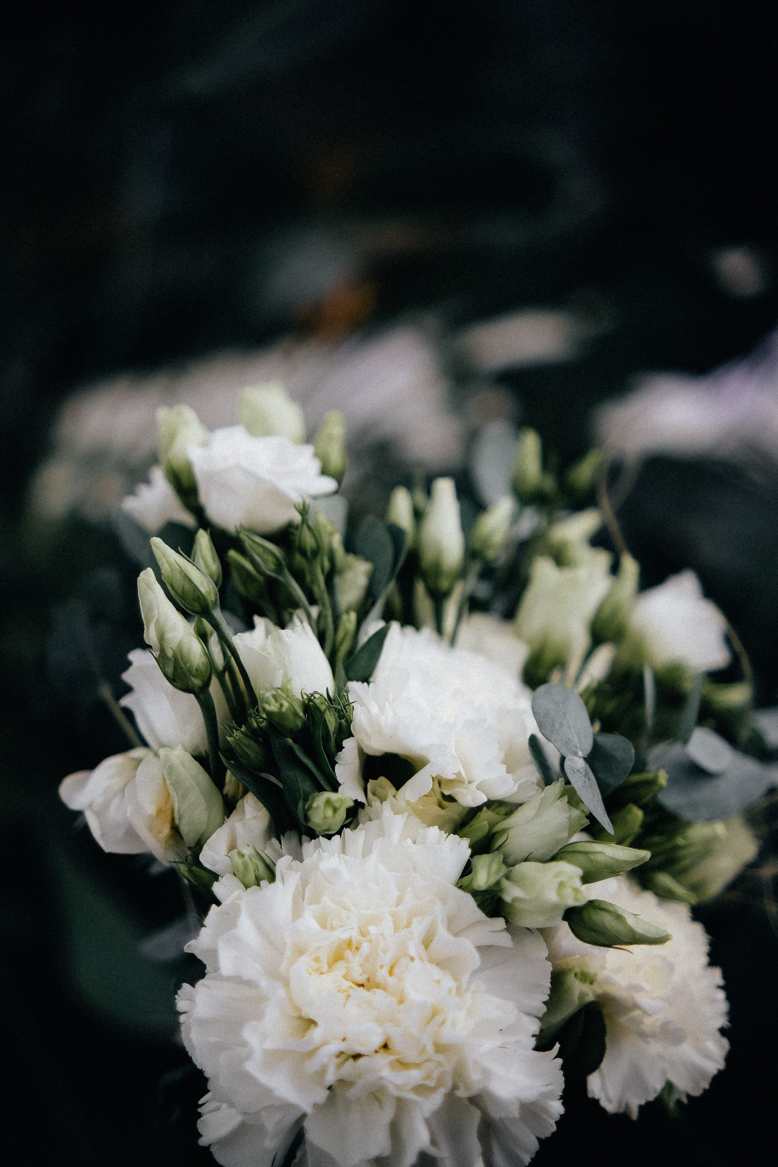 Ксения & Кирилл ДБ2. Phdkvmr.ru