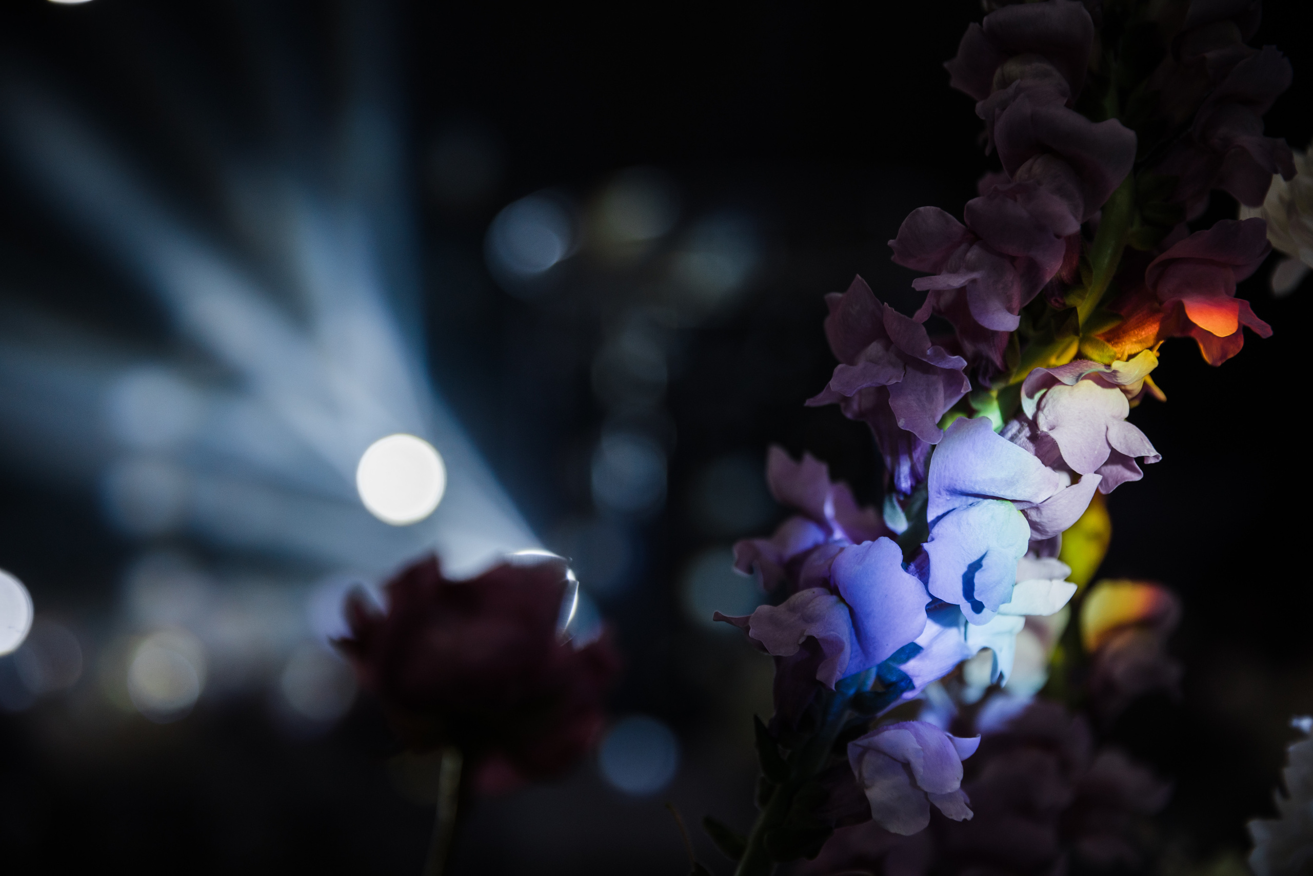 «NIGMA». Свадебный и семейный фотограф в Краснодаре Роман Моско