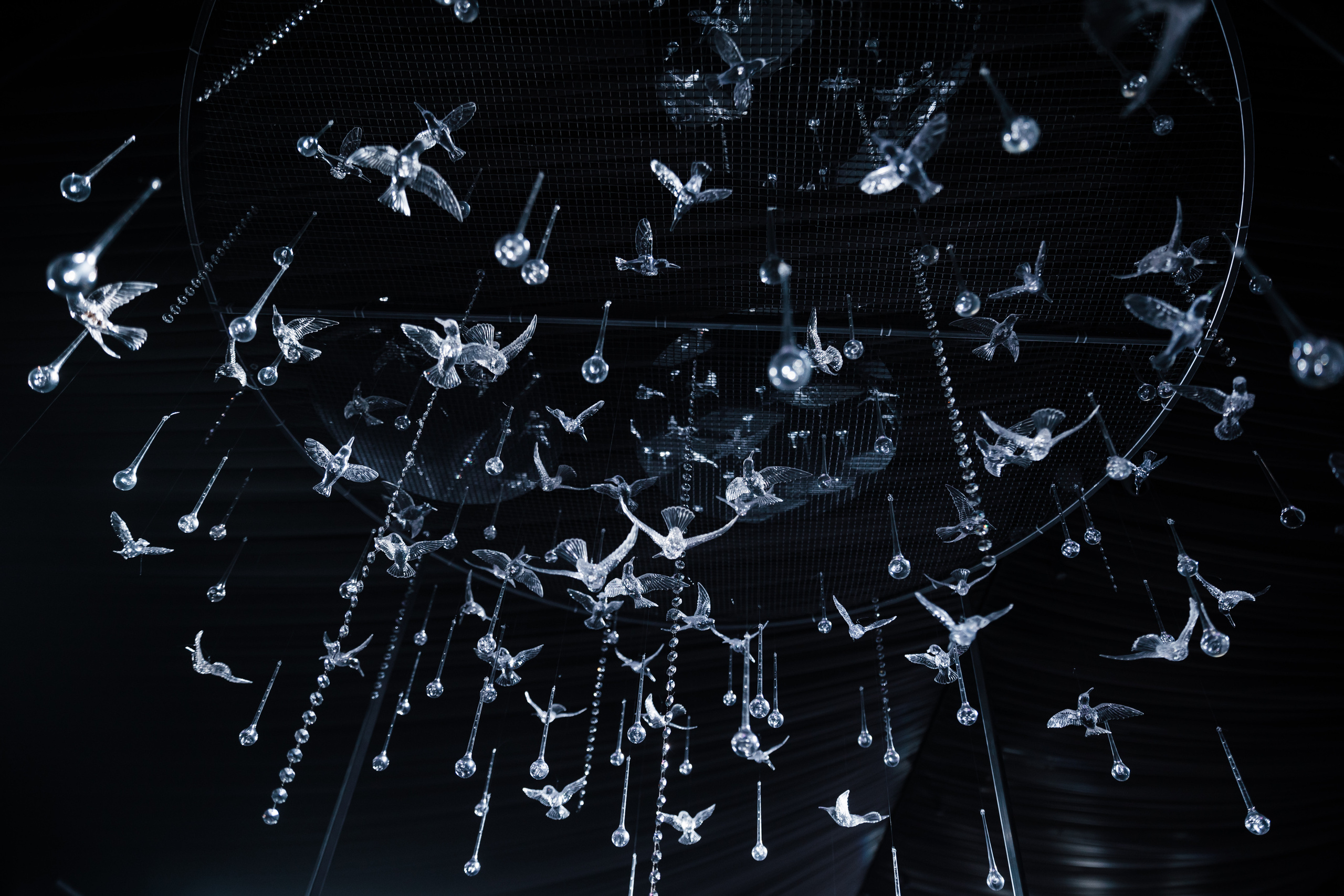 «NIGMA». Свадебный и семейный фотограф в Краснодаре Роман Моско