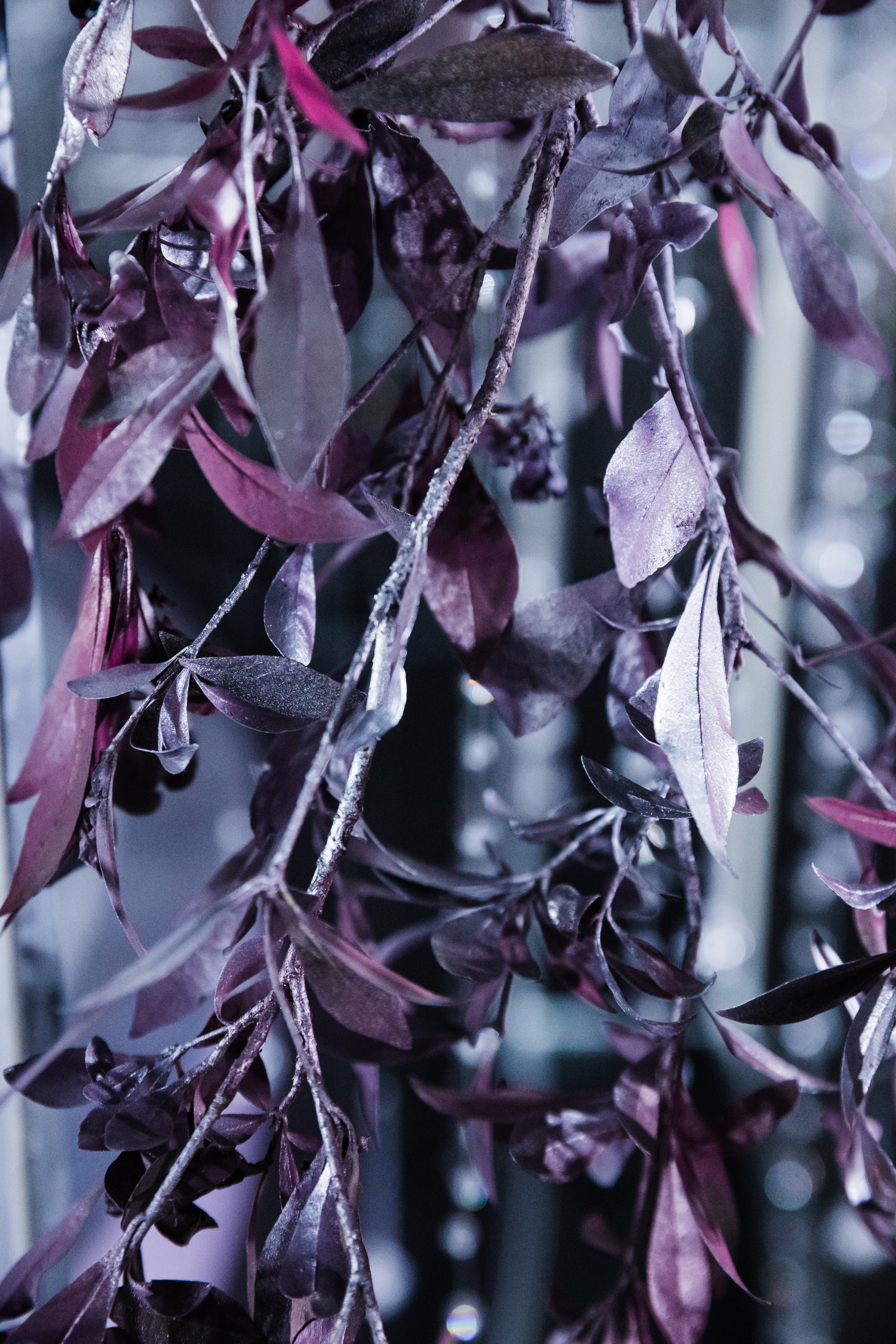 «NIGMA». Свадебный и семейный фотограф в Краснодаре Роман Моско