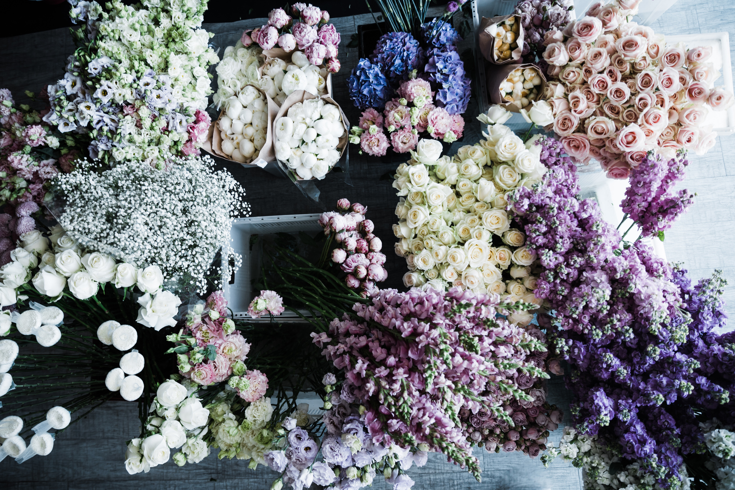 «NIGMA». Свадебный и семейный фотограф в Краснодаре Роман Моско