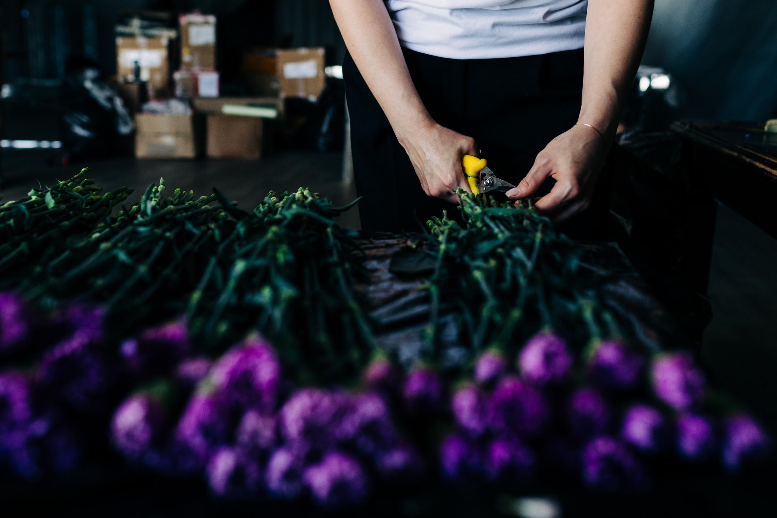 «NIGMA». Свадебный и семейный фотограф в Краснодаре Роман Моско