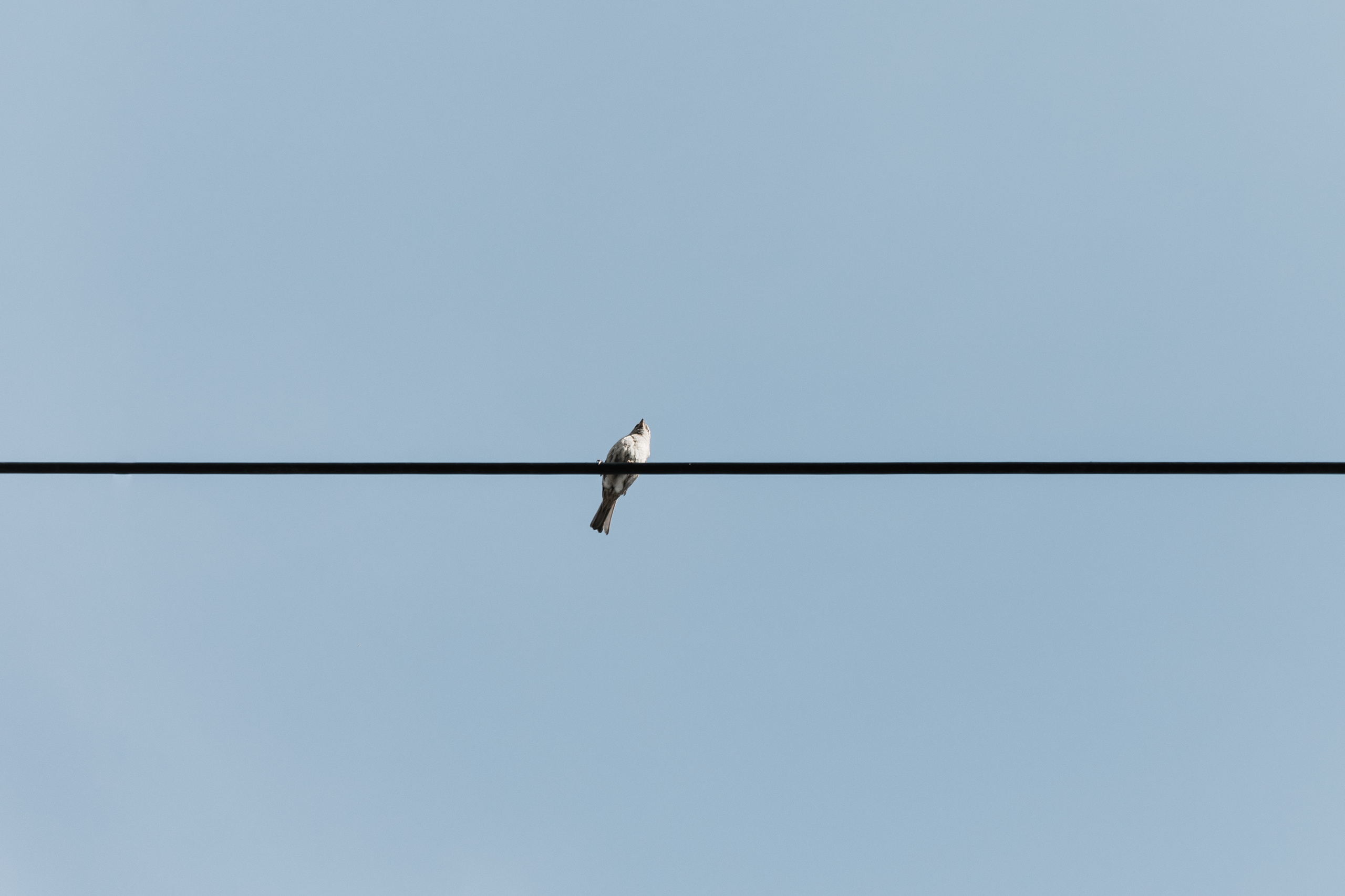 «NIGMA». Свадебный и семейный фотограф в Краснодаре Роман Моско