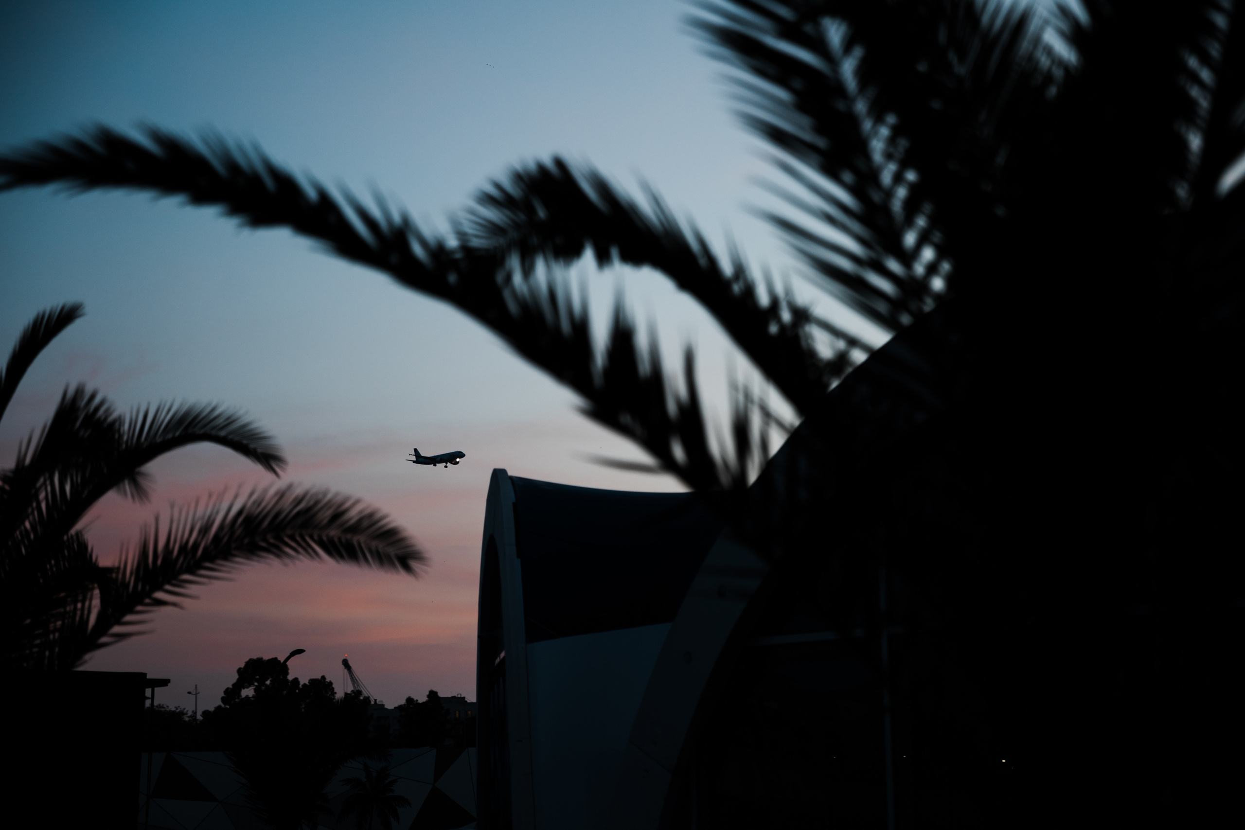 «NIGMA». Свадебный и семейный фотограф в Краснодаре Роман Моско