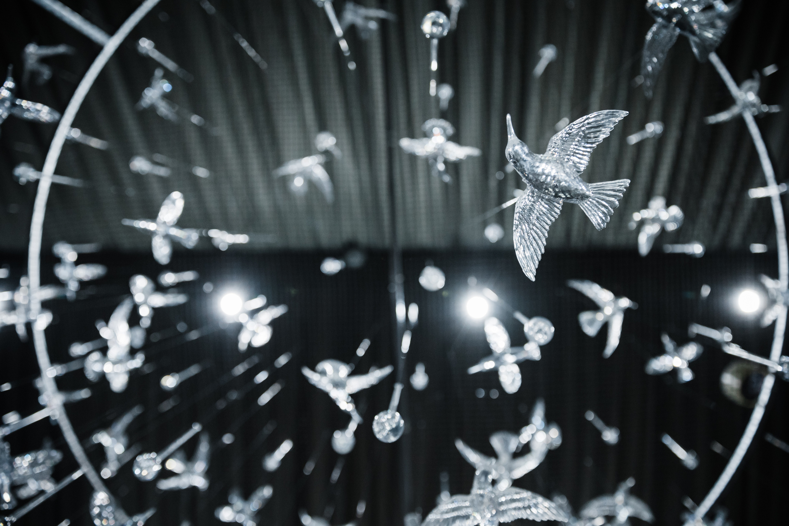 «NIGMA». Свадебный и семейный фотограф в Краснодаре Роман Моско