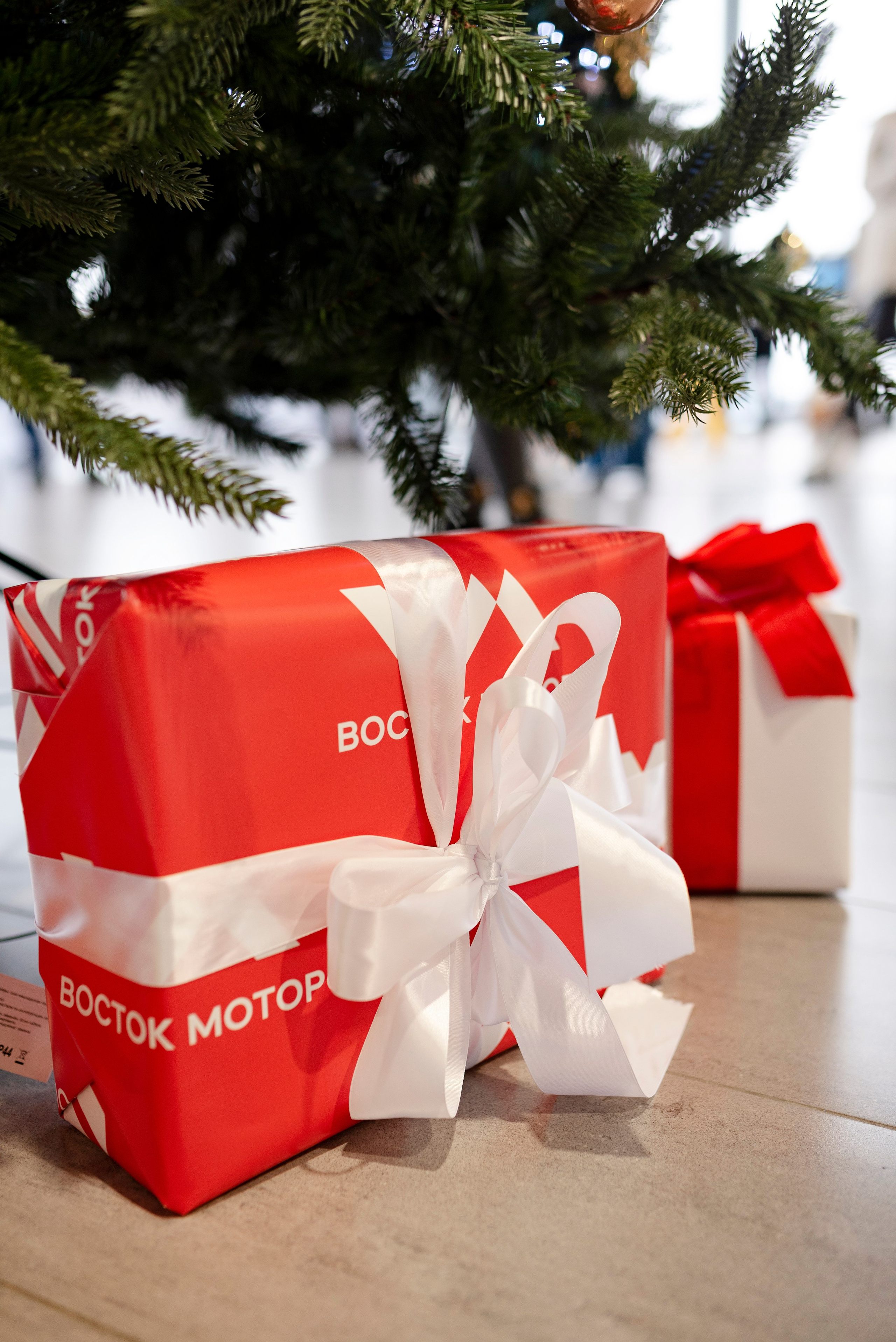 фотограф Сургут