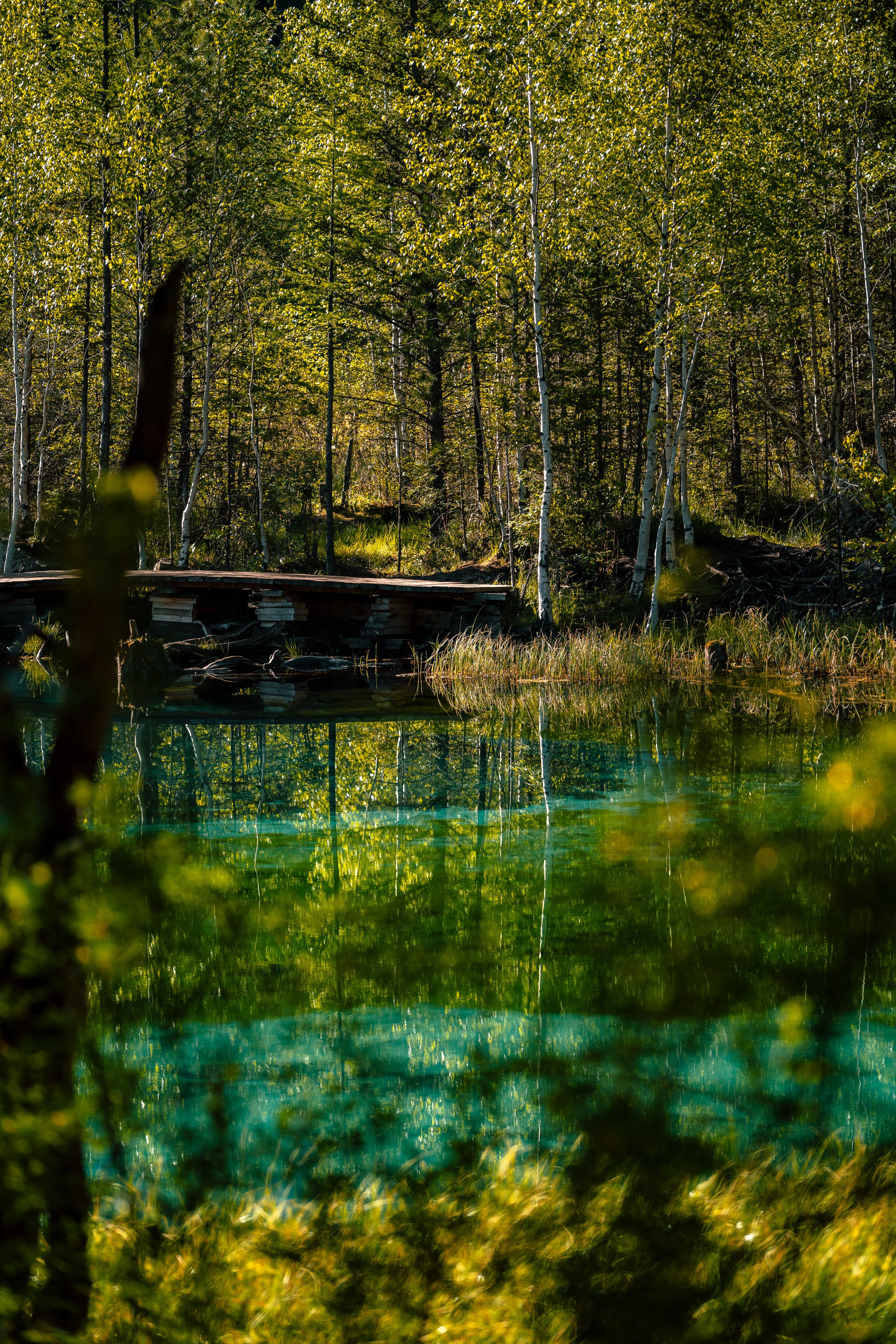 Алтай. Оператор и Фотограф в Санкт-Петербурге и Москве