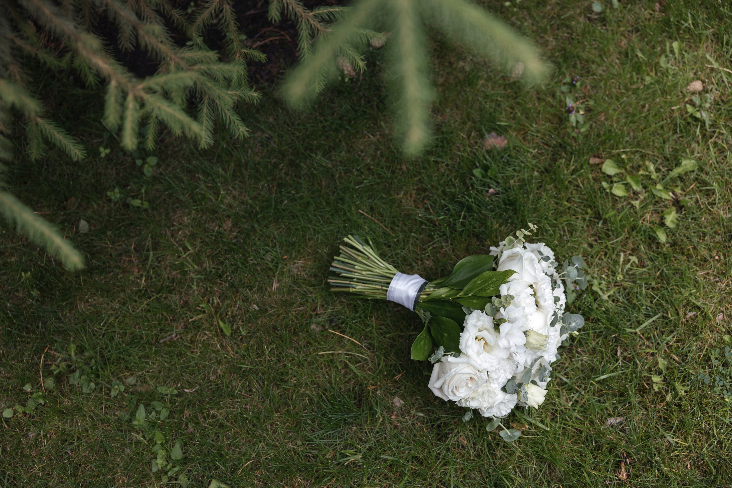 Даня и Аня. Свадебный фотограф в Тольятти Валерия Барышкина