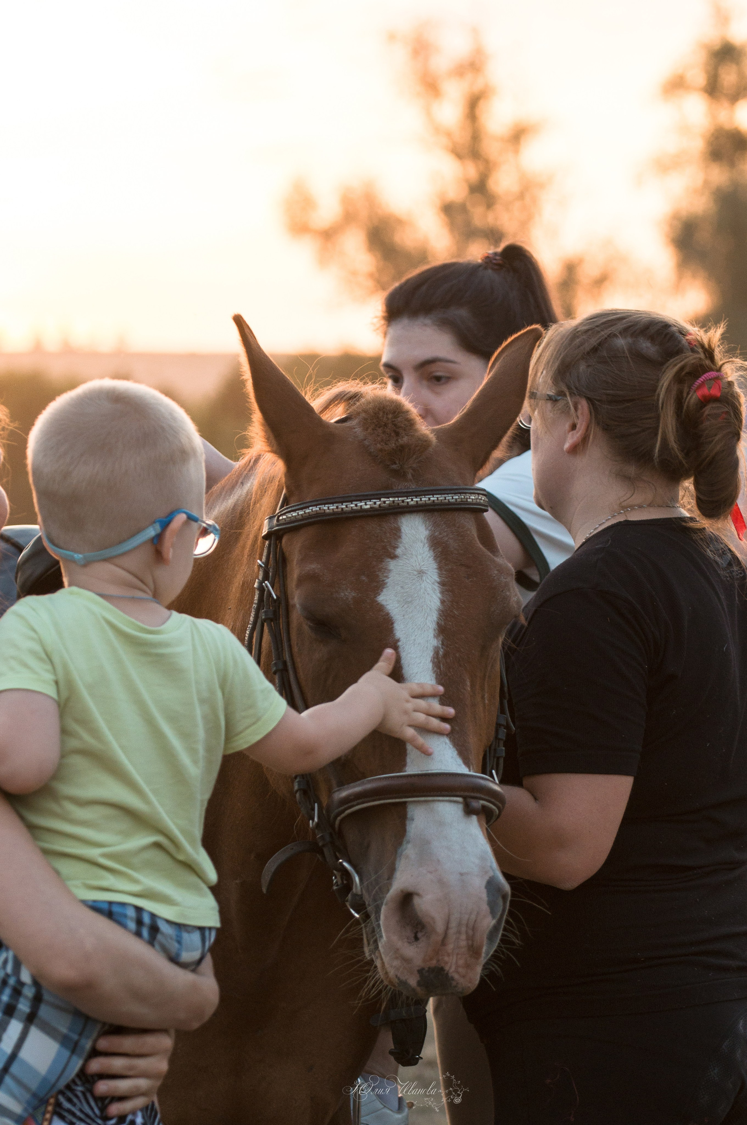 Дети и лошади. Конный фотограф в Саратове Юлия Иванова