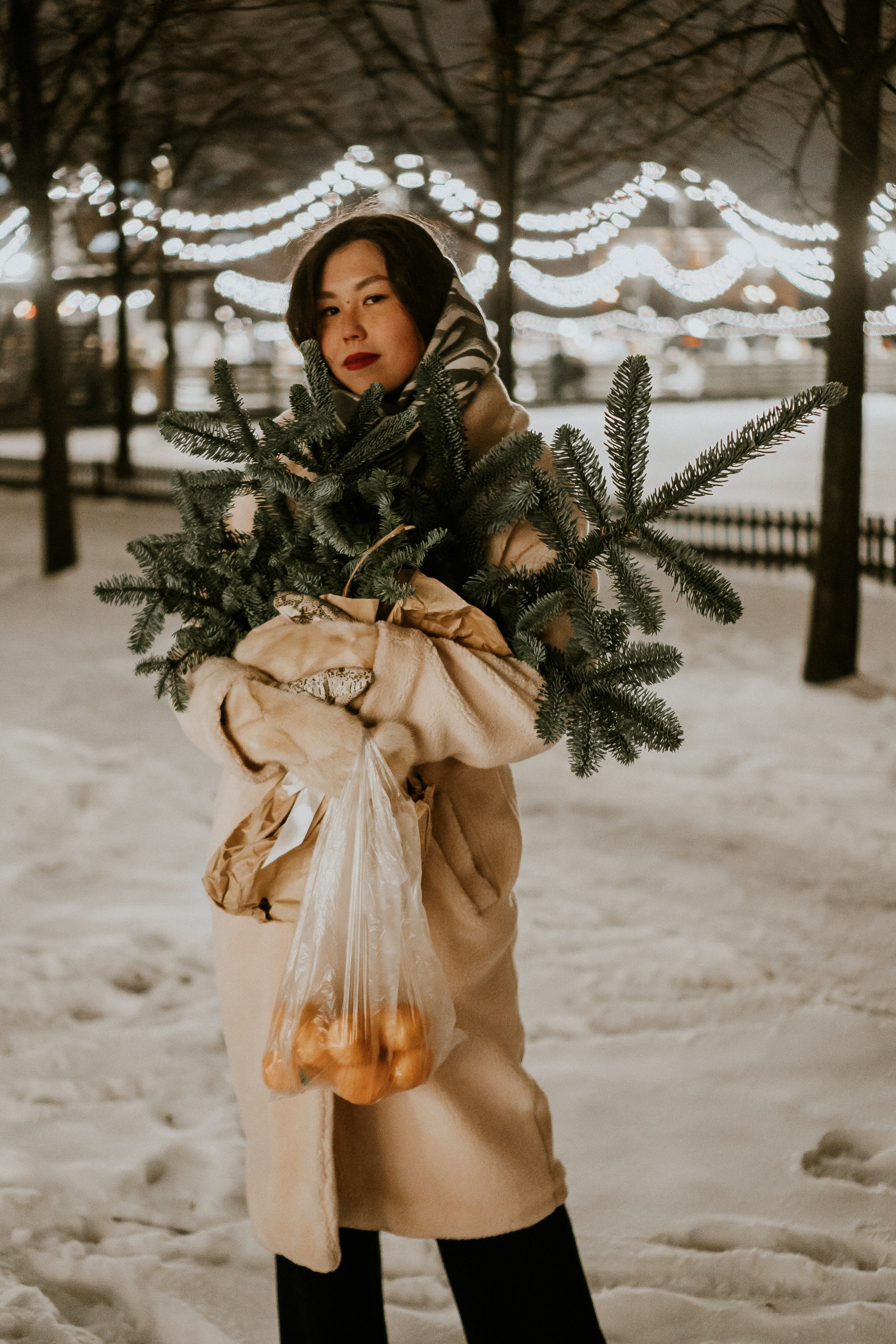 Зимняя сказка в Новой Голандии. Профессиональный фотограф, Санкт-Петербург — Виктория Богомолова