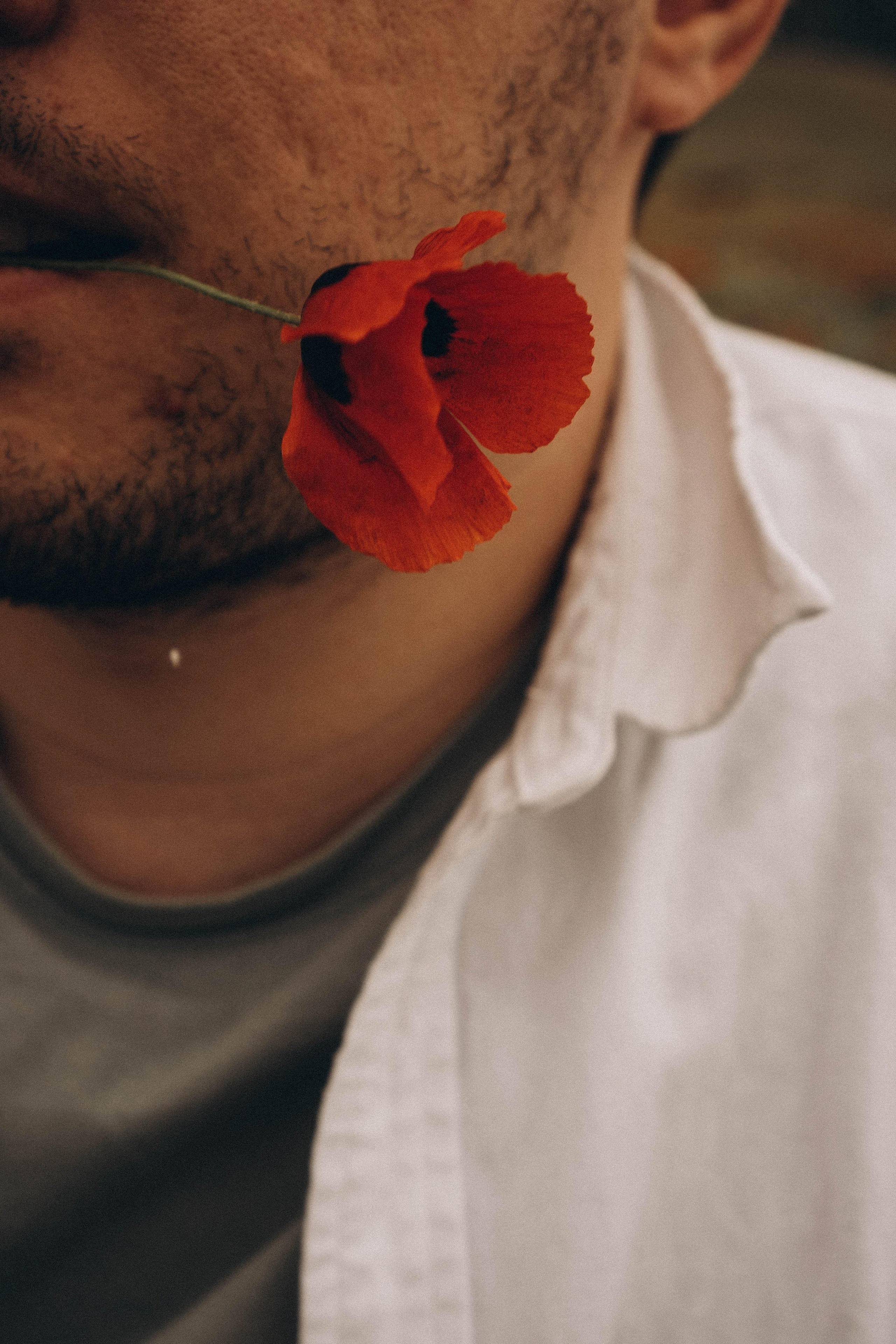 Маки. Профессиональный фотограф, Санкт-Петербург — Виктория Богомолова