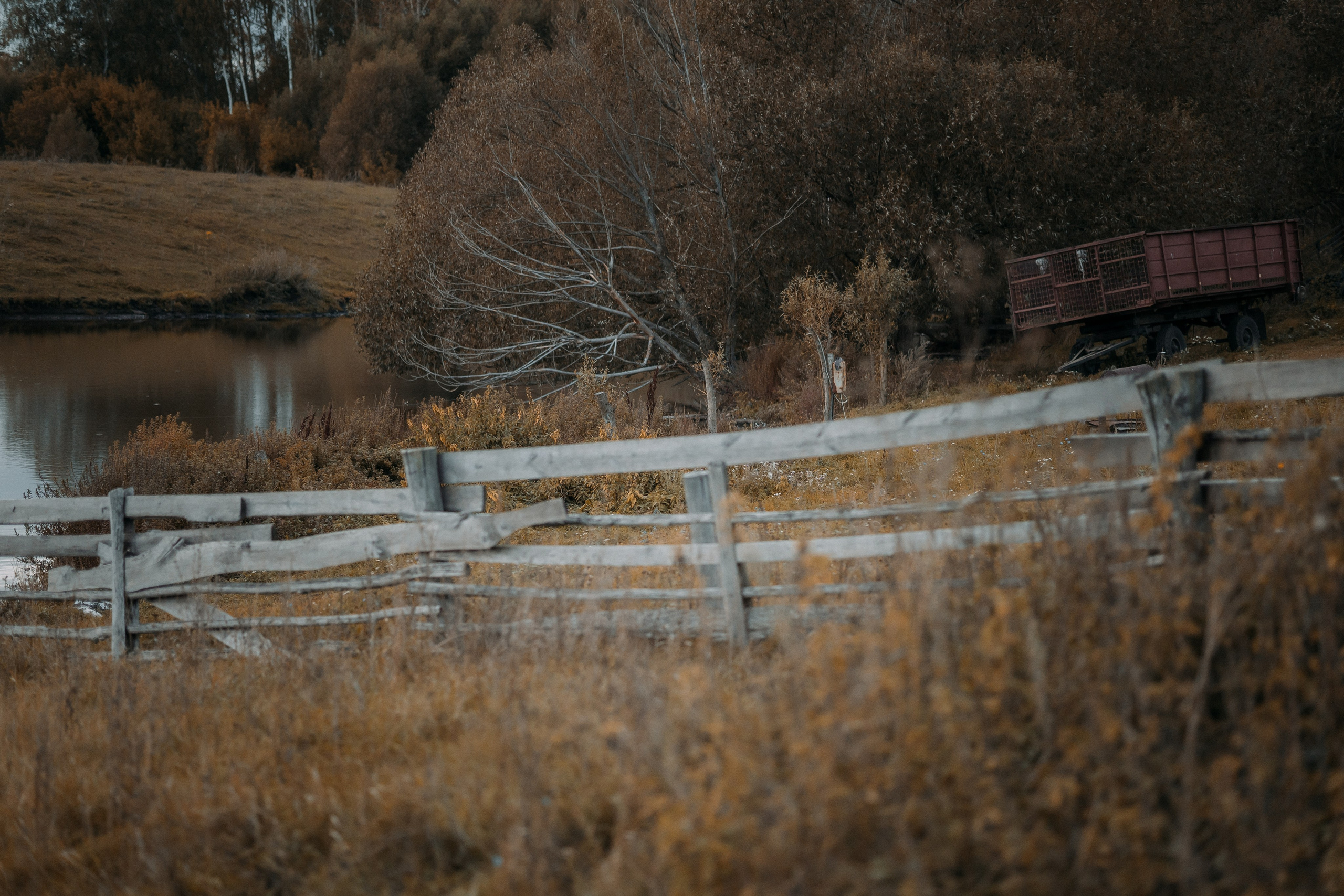 Дарина и Максим. Фотограф Юлия Хакимова / Казань/ Чистополь