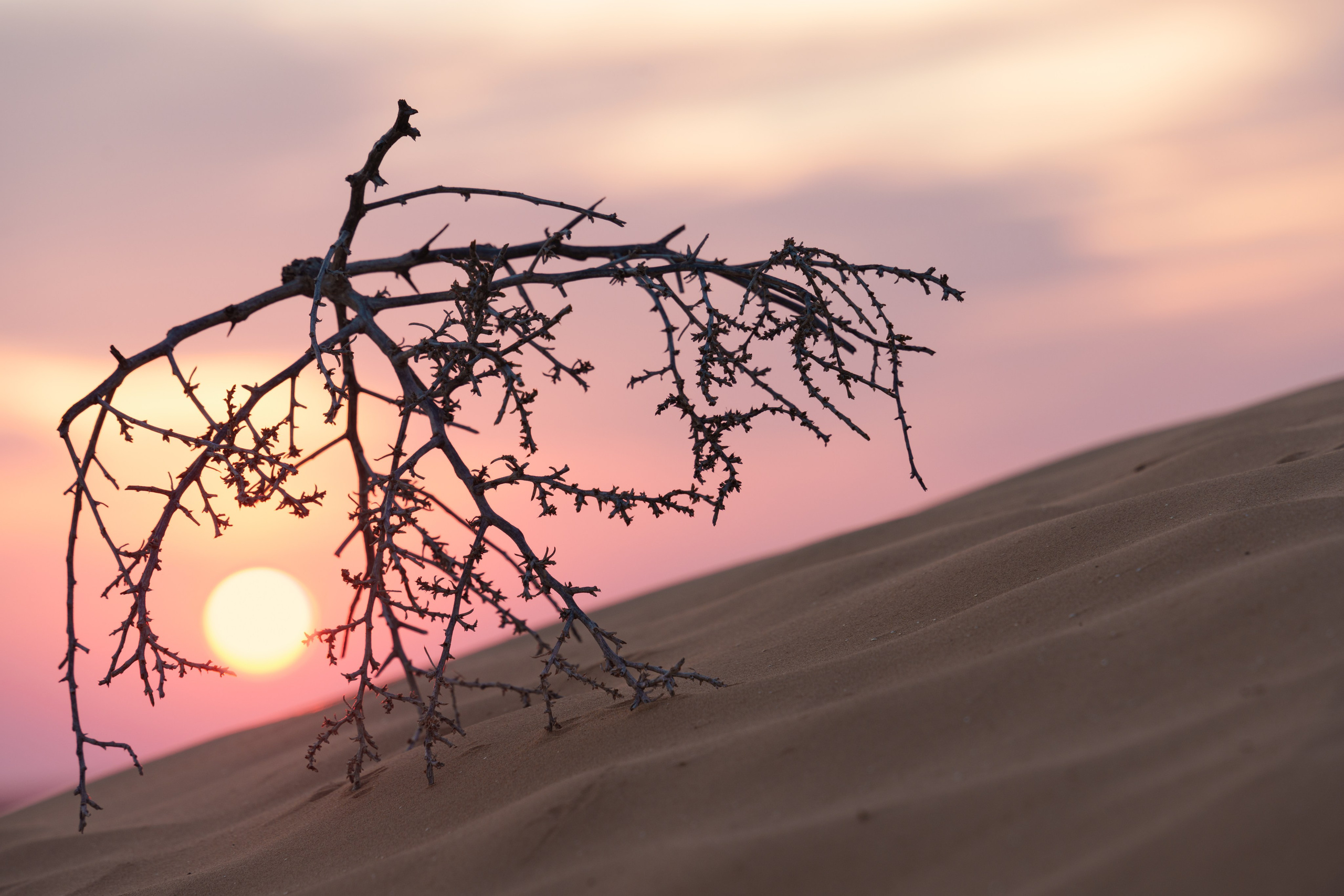 Пейзаж от Ольги Пановой. Интерьерный и архитектурный фотограф в Москве Панова Ольга