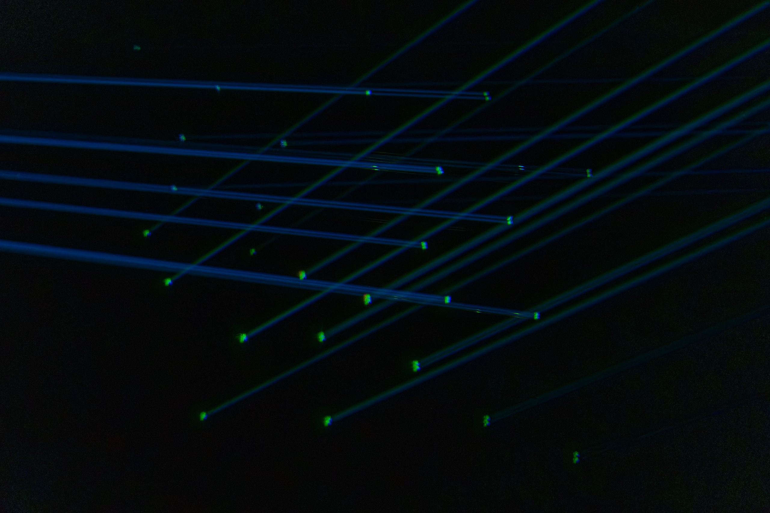 Skypark! Live. Репортажный фотограф в Красной Поляне и Сочи Павлюченко Екатерина