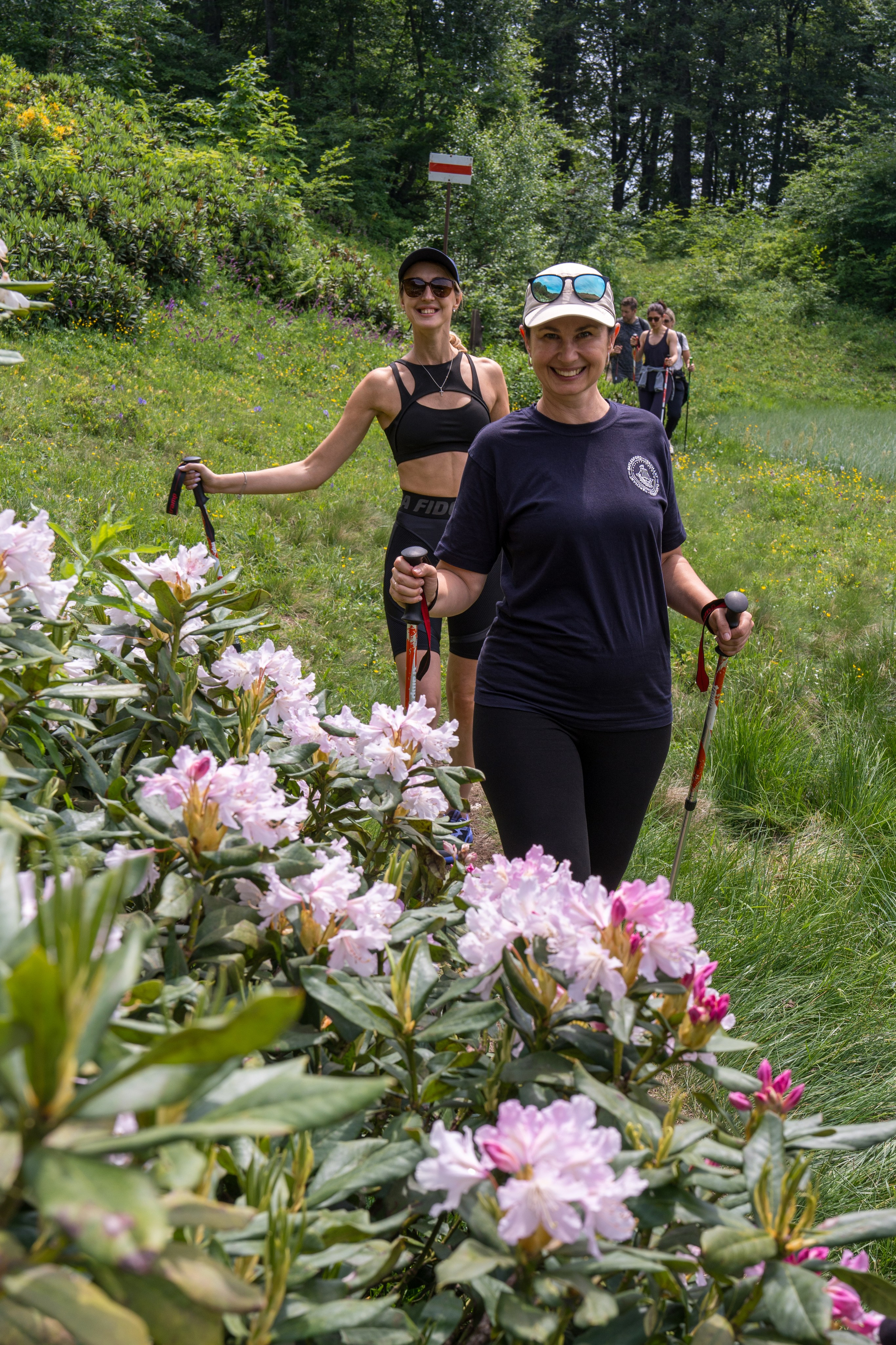 MICE мероприятие для компании «Доставка морем»: хайкинг к Ачипсинским водопадам. Репортажный фотограф в Красной Поляне и Сочи Павлюченко Екатерина