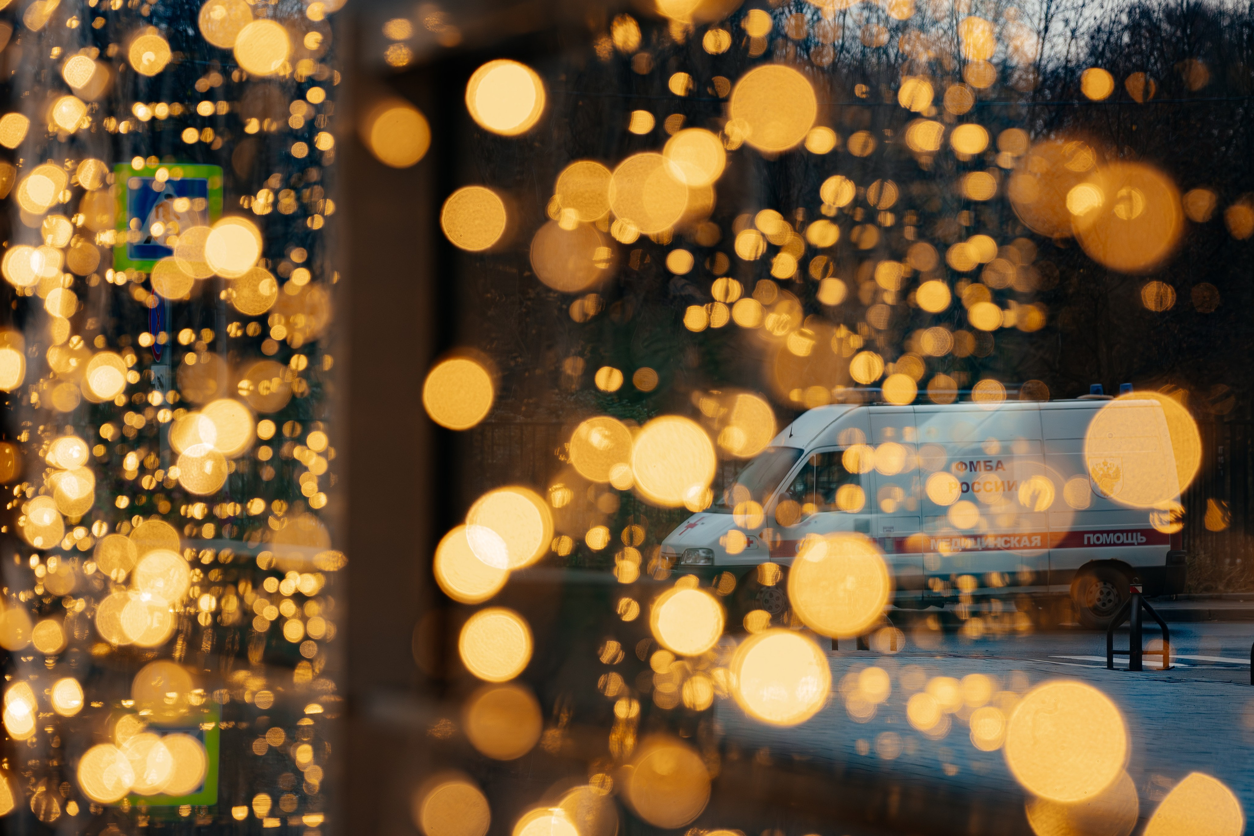 Абилимпикс 2025. Коммерческий фотограф в Санкт-Петербурге Анна Кобзарь