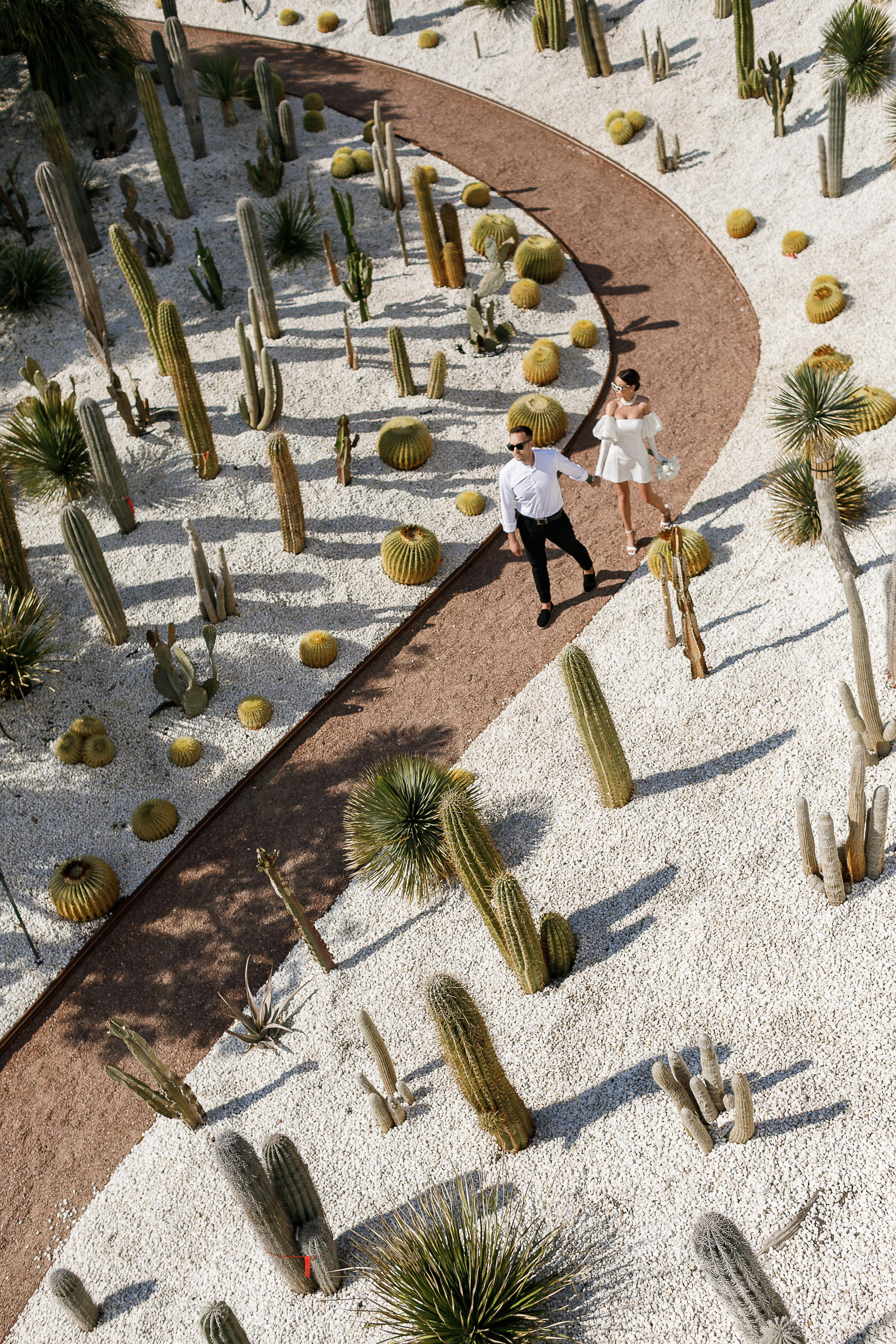 Крымско вино для ваших гостей на свадьбе, все красивые места крыма, геолокации красивых мест крыма.