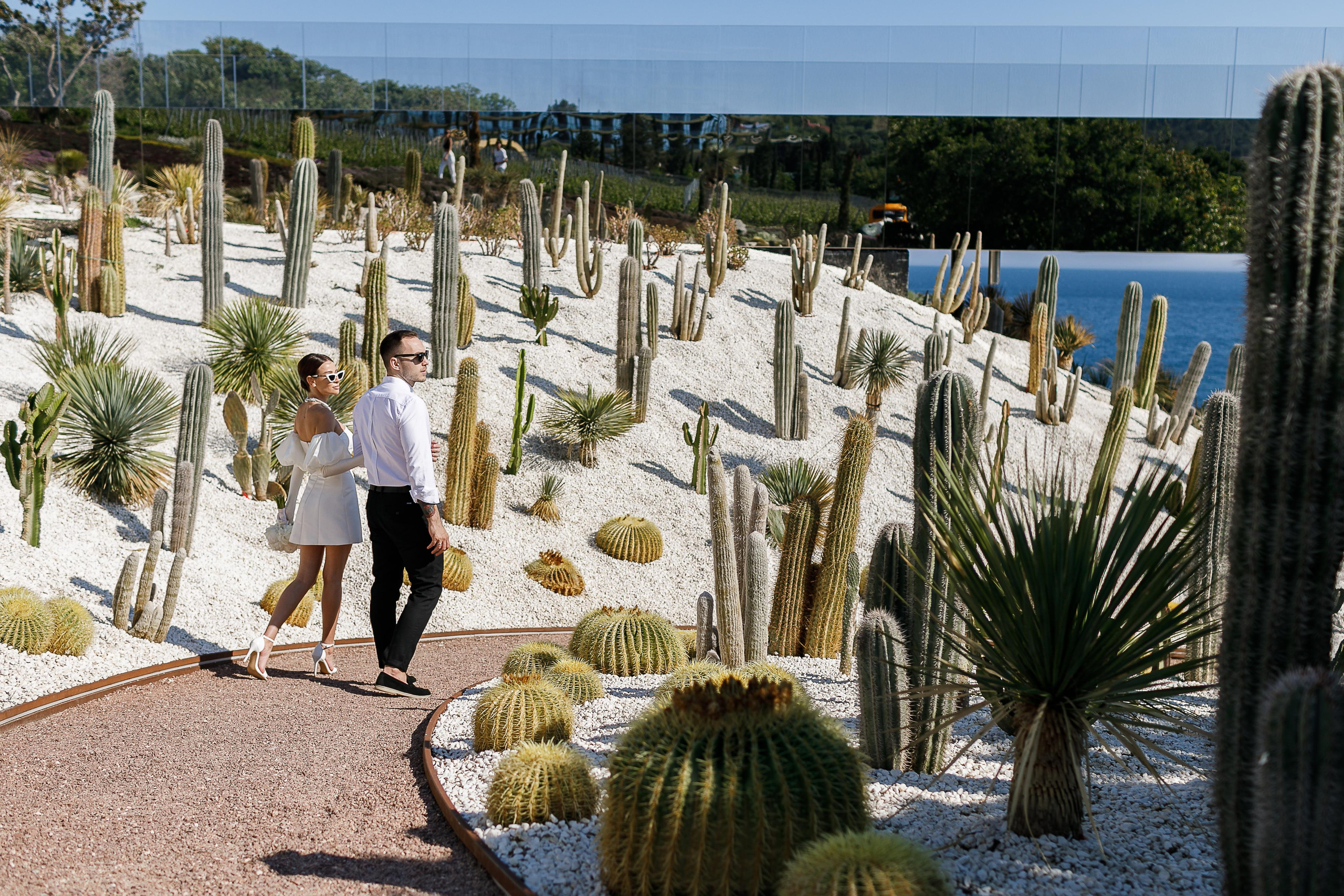 Прогулка по красивым местам Крым для жениха и невесты.