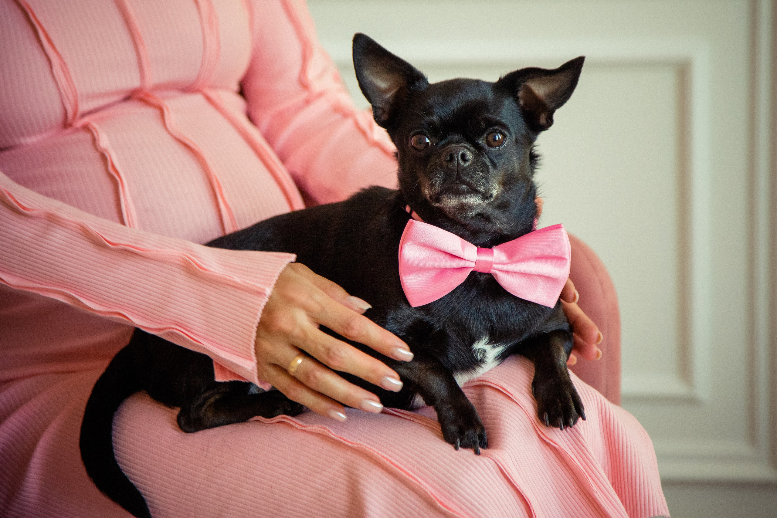 Фотосессия беременности в студии. X-Place студия в Москве. Свадебный и семейный фотограф в Москве и Подмосковье Лариса Козлова