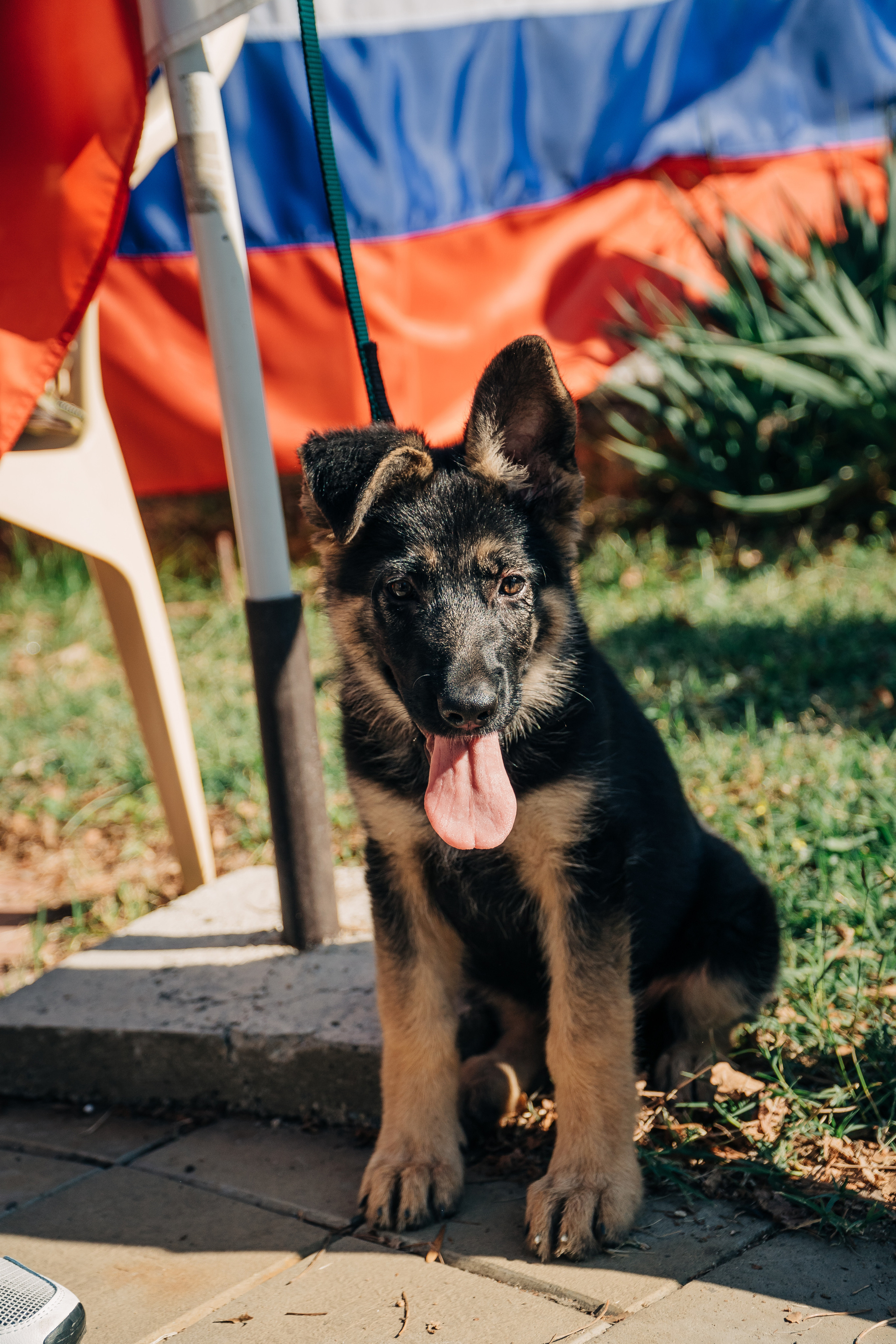 День рождения станицы. Новотитаровский Дом культуры