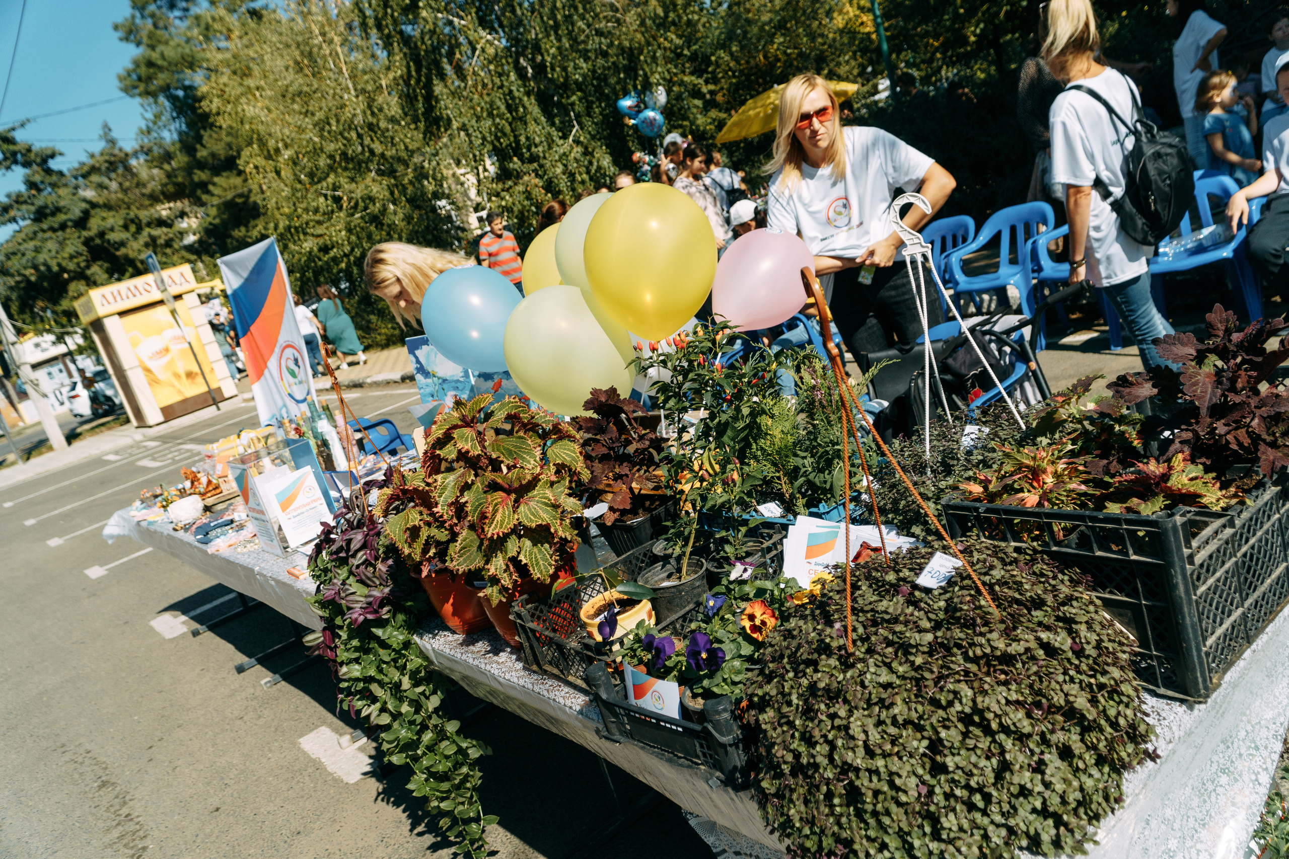 День рождения станицы. Новотитаровский Дом культуры