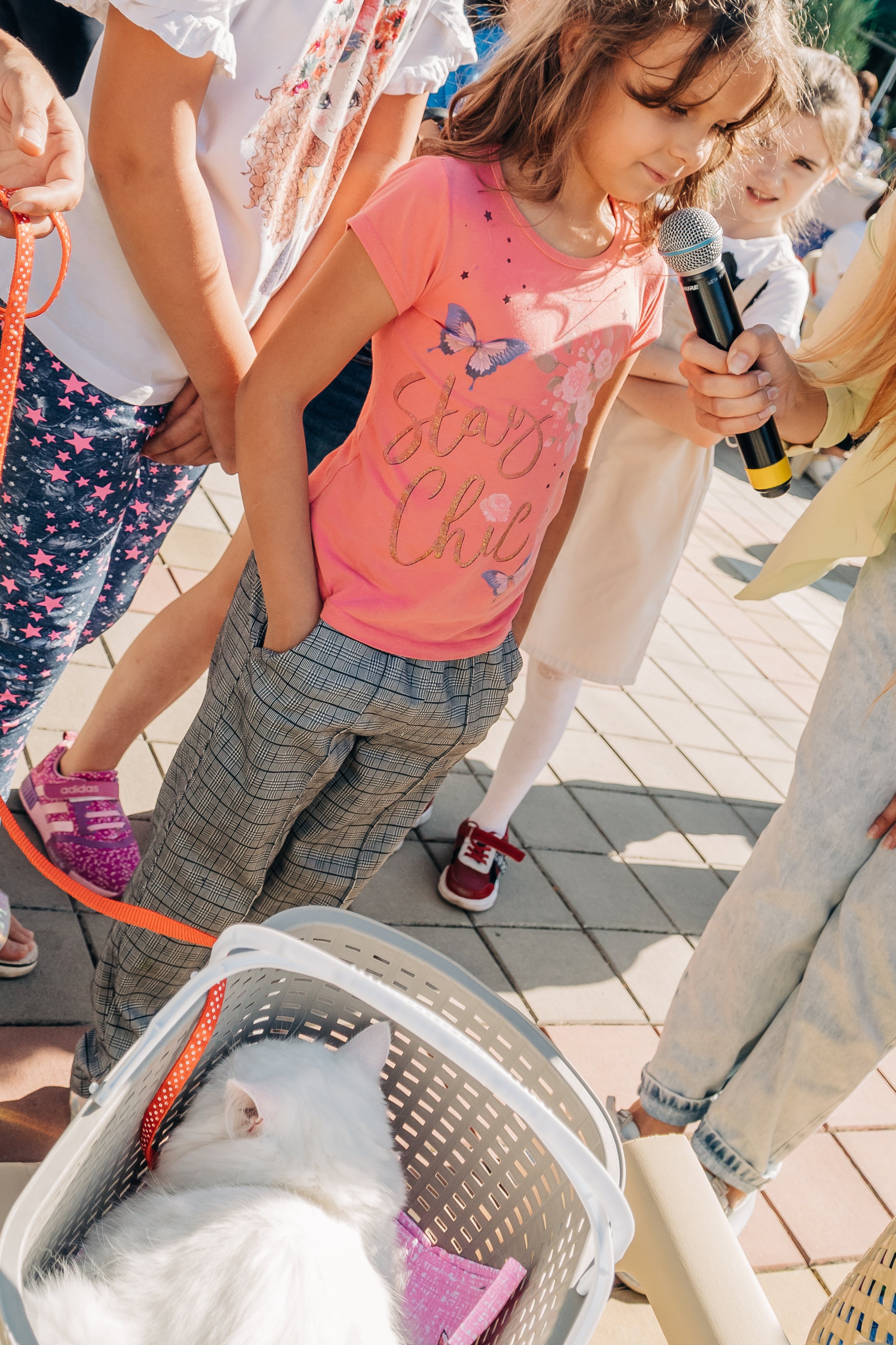 День рождения станицы. Новотитаровский Дом культуры