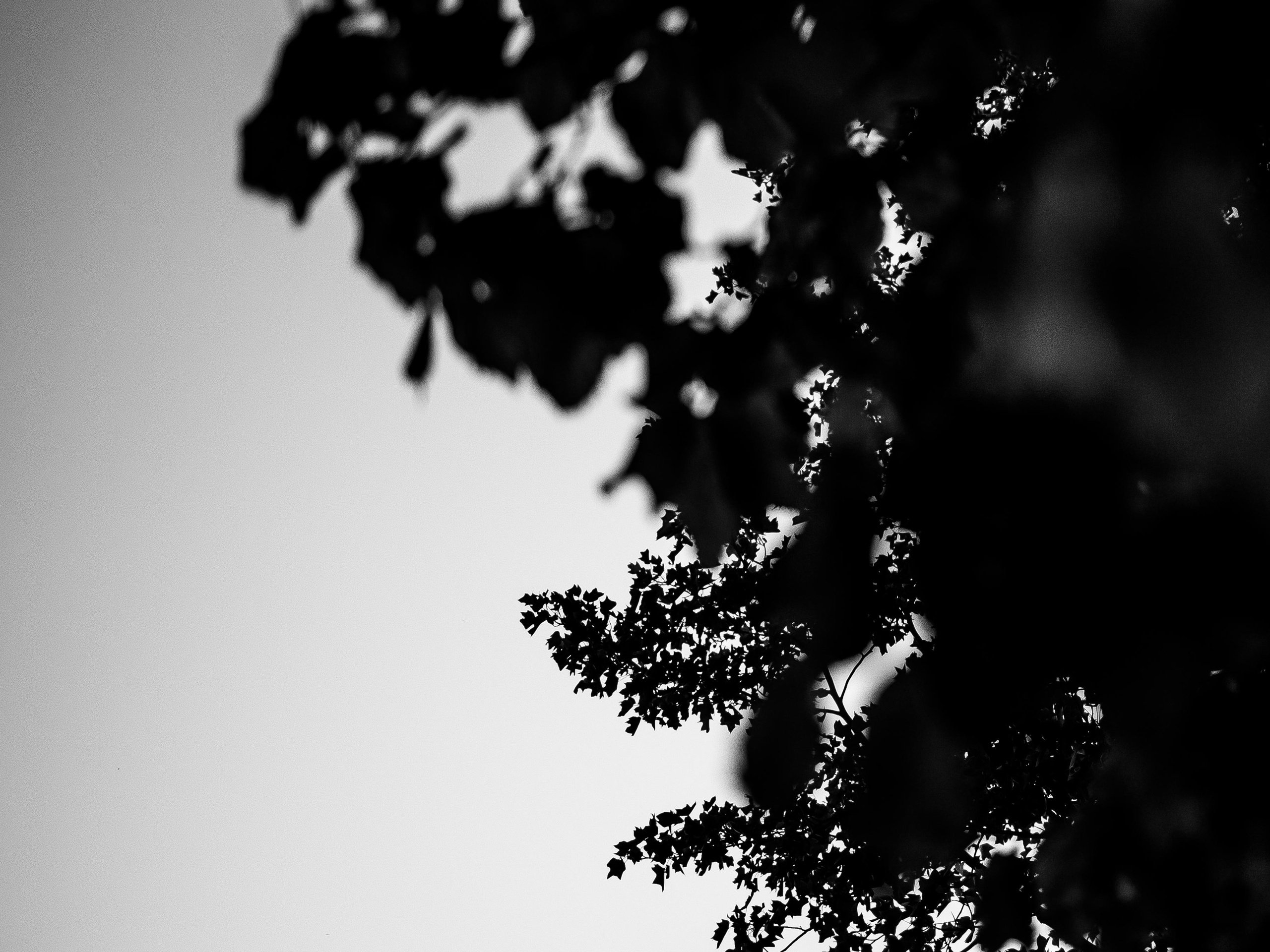 Юлия и Сергей. Семейный фотограф в Краснодаре Храмова Анна