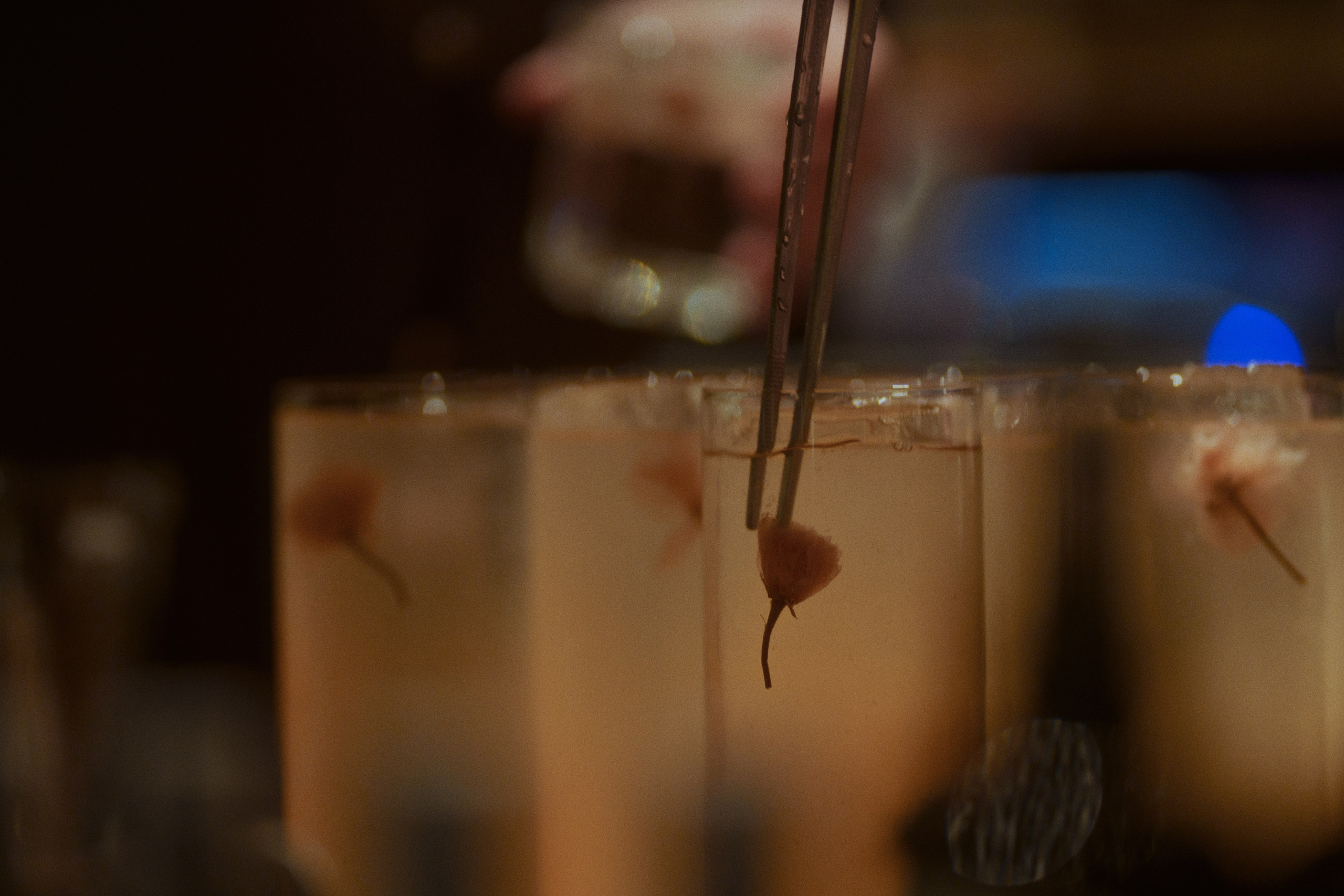 Ryotei x takadaya. Фотограф Юрин Евгений