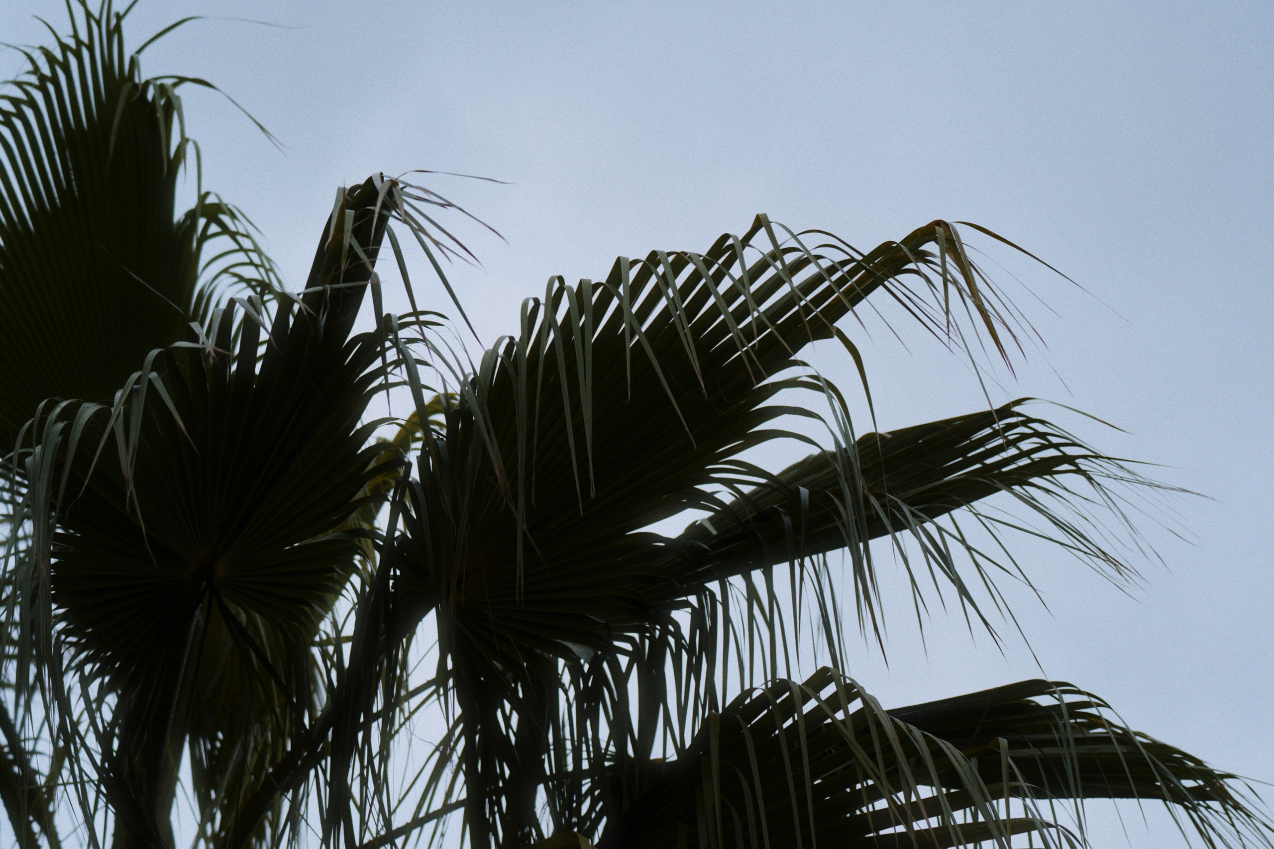 Sochi port (morskaya). Фотограф Юрин Евгений