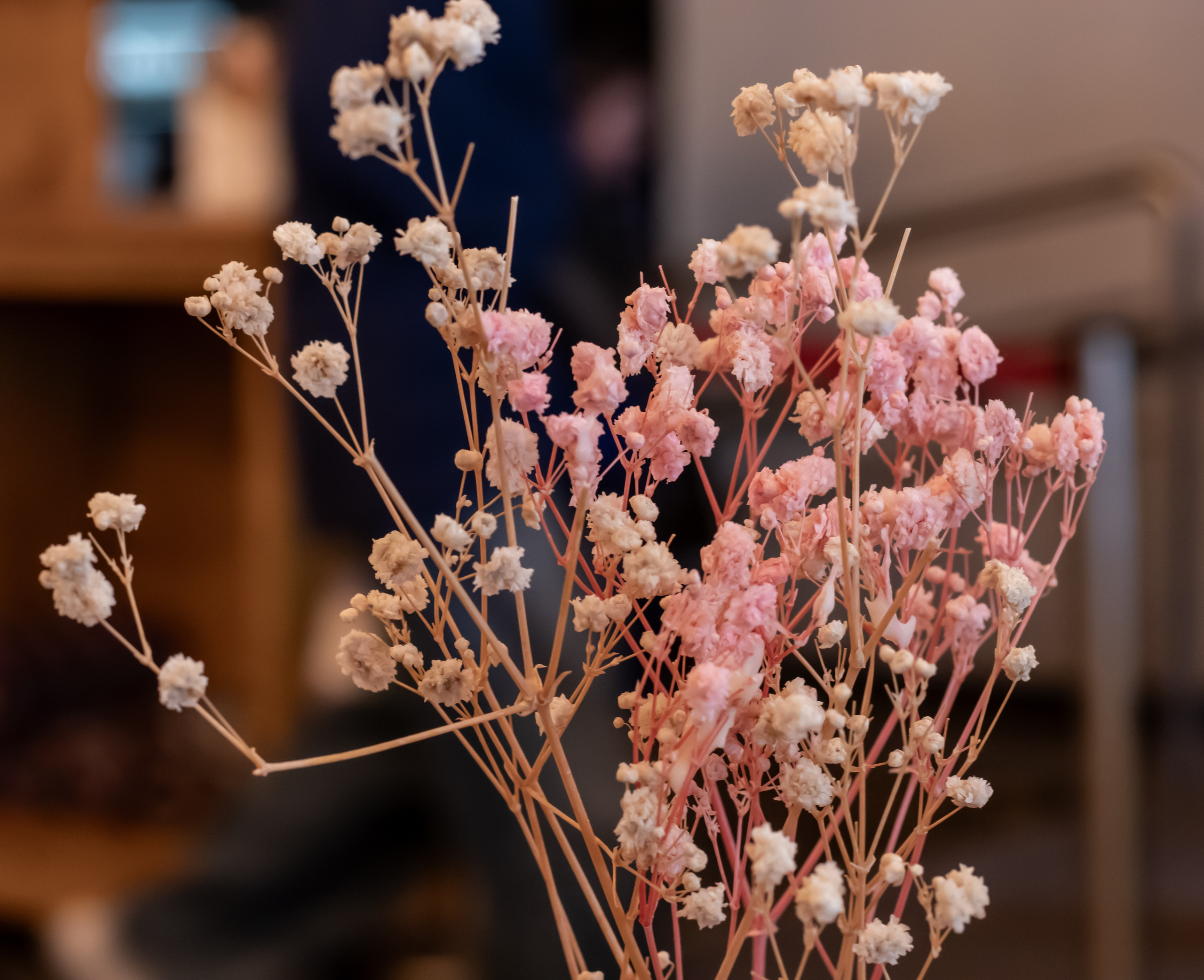 Love STORY Ирина и Сергей несколько кадров с сыроварни в Истре