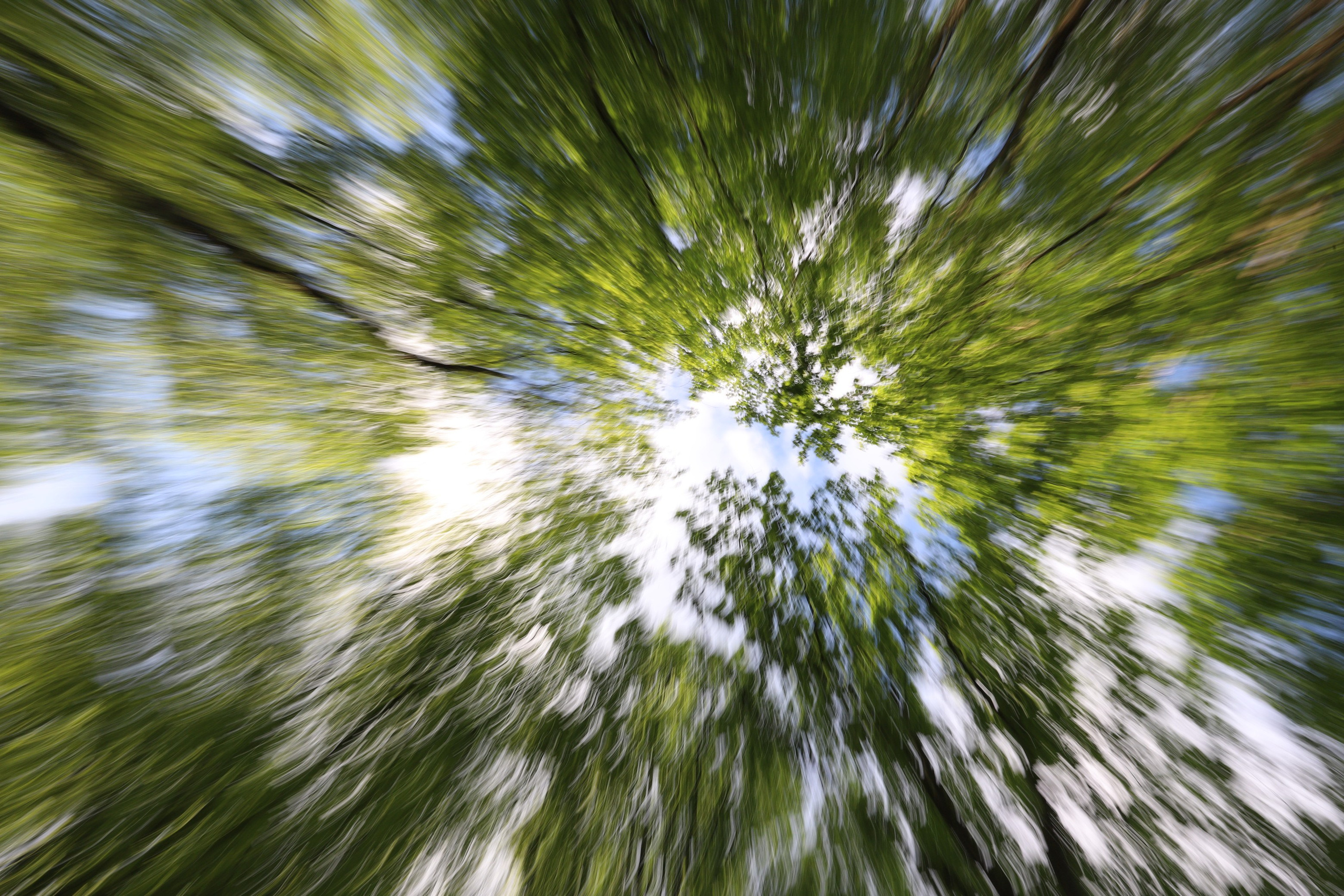 ФОТОСЕССИЯ В СТИЛЕ ГАРРИ ПОТТЕРА. Портретный фотограф в Краснодаре Надежда Елынко