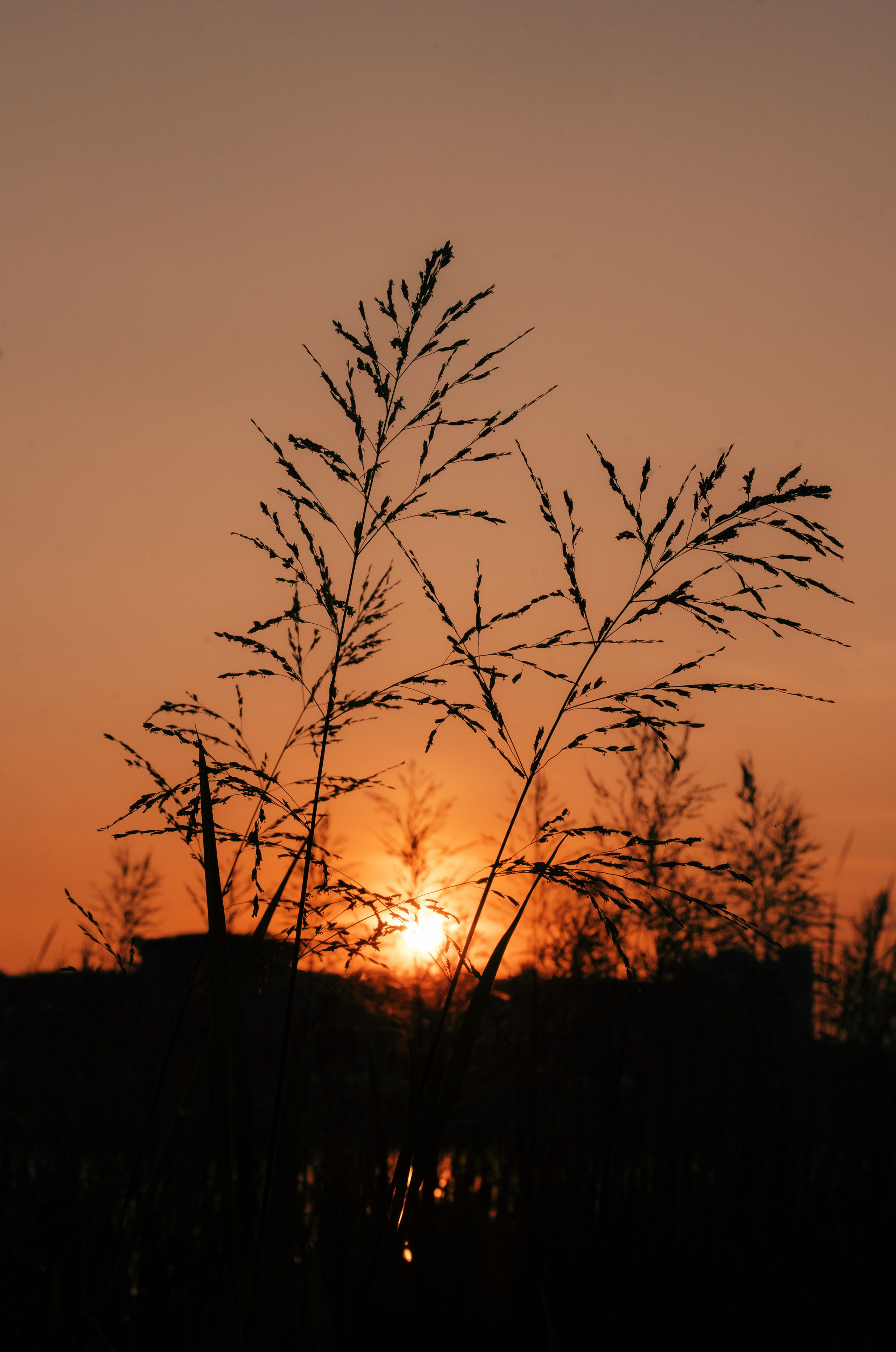 Вечер электронной музыки на Озере Кабан / 2023. Саша Копылов, фотограф в Казани