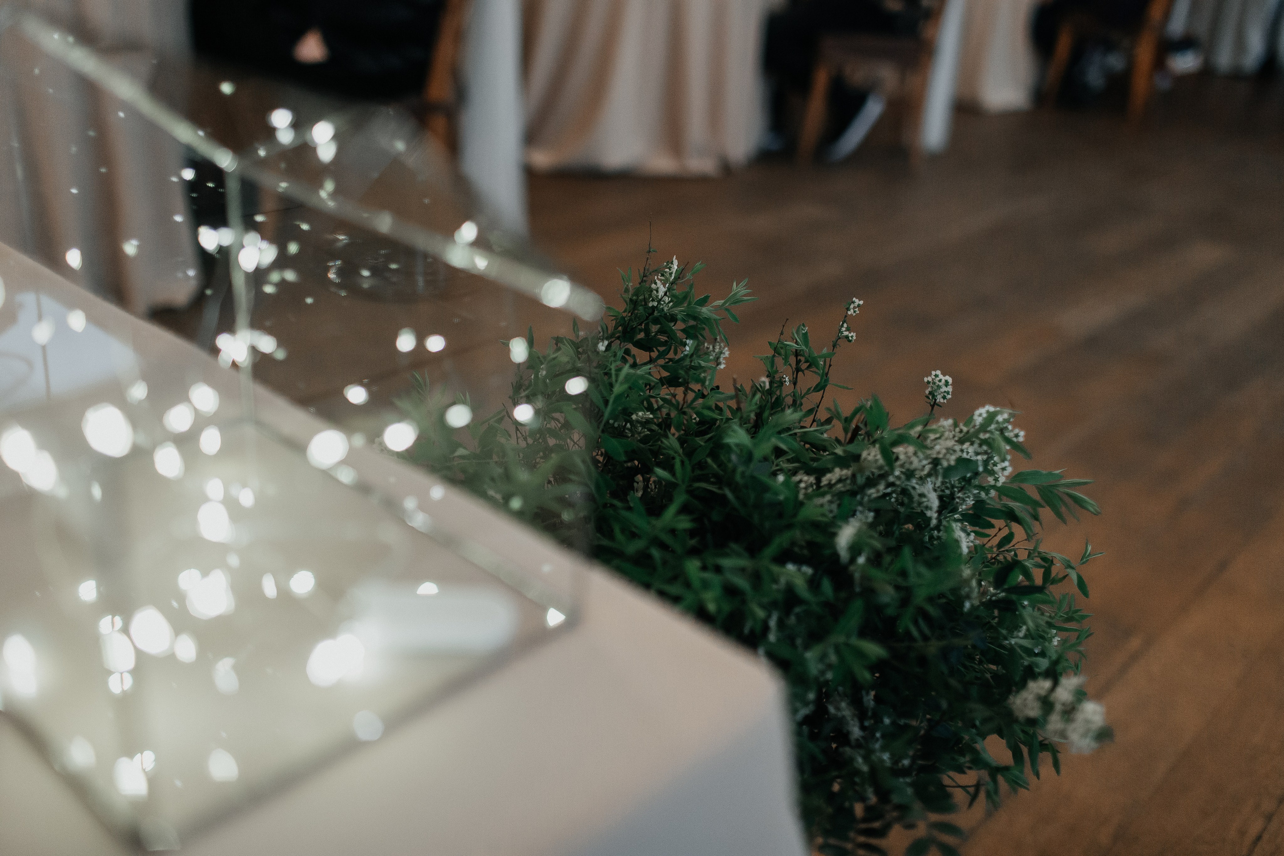 Татьяна и Даниил. Репортажный фотограф Анастасия Головко