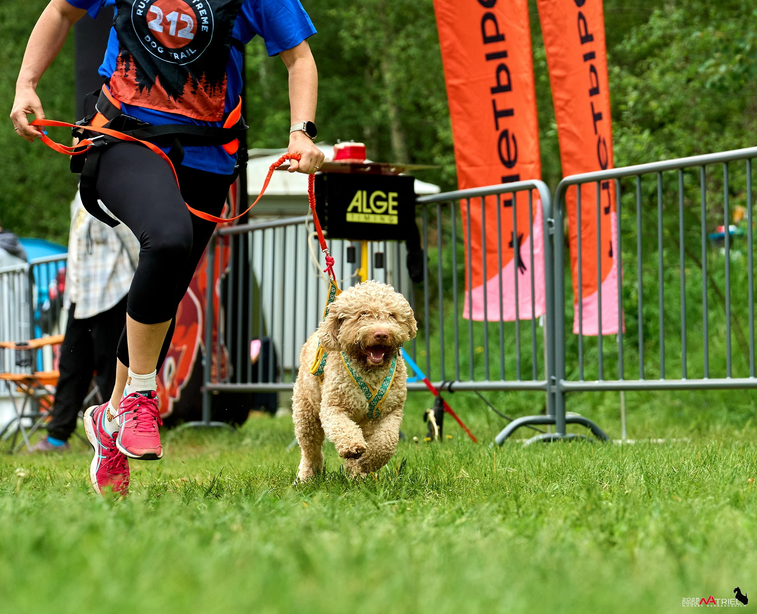 Russian Extreme Dog Trail — 2025