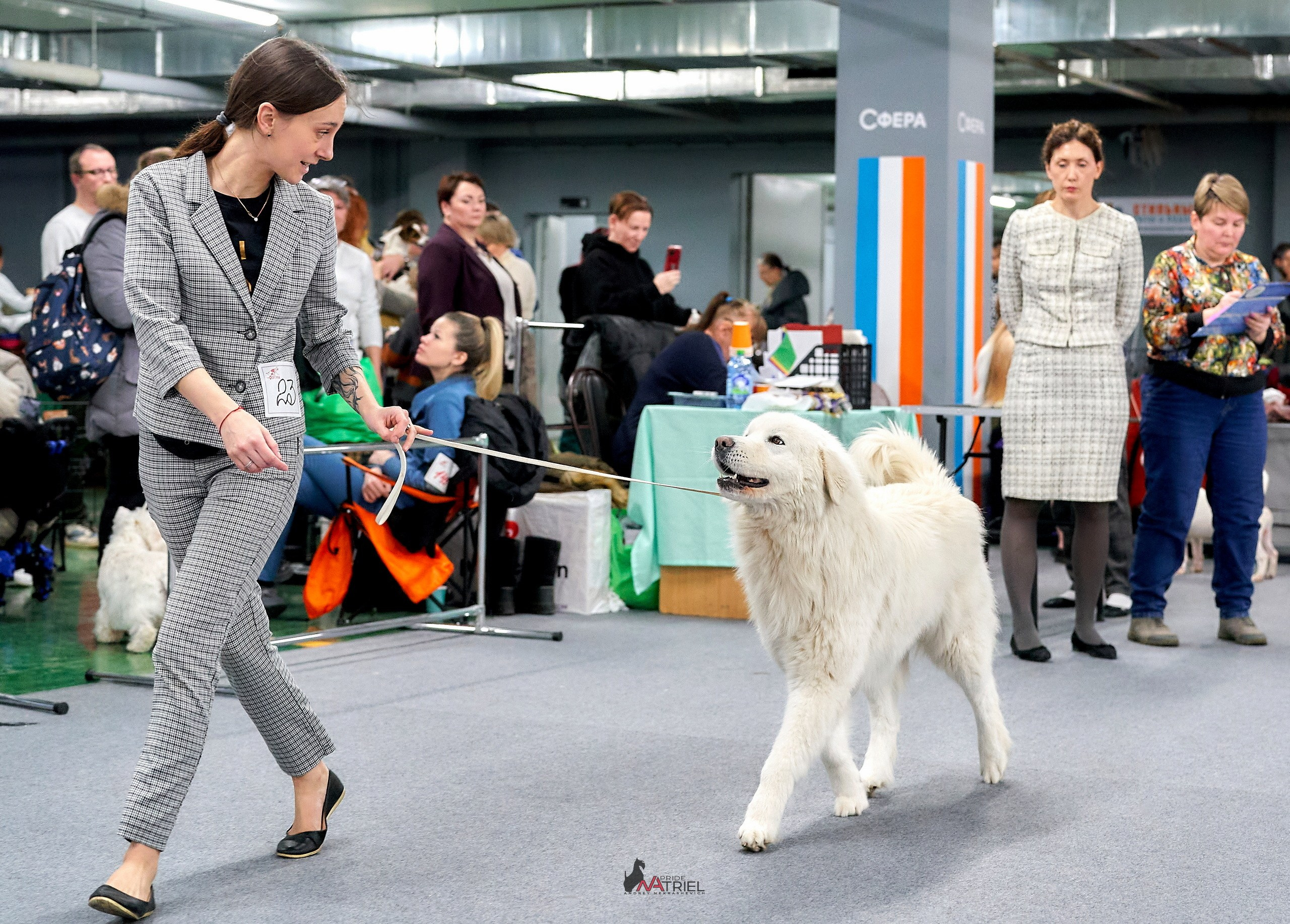 Работа в рингах — галерея NATRIEL