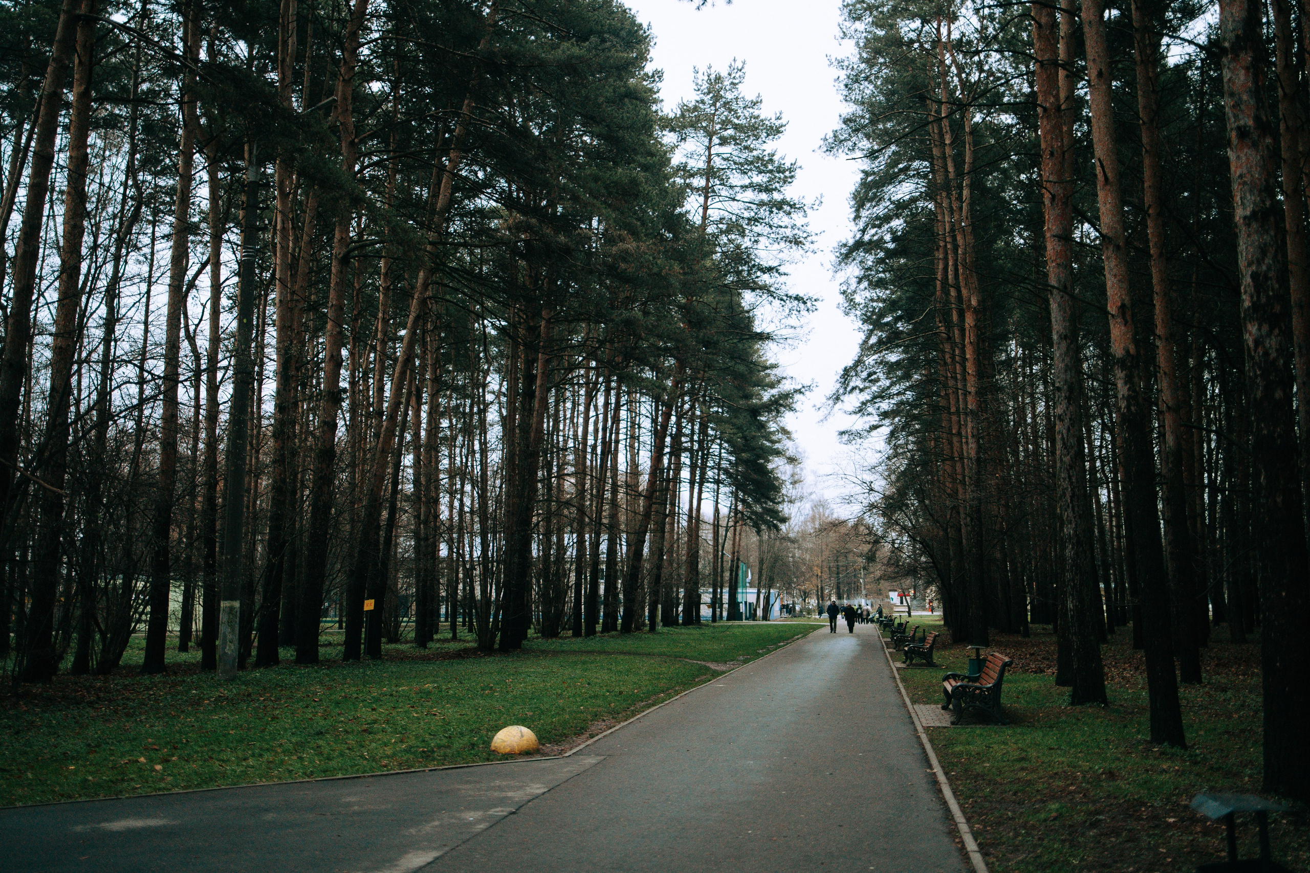 Осень, парк, экзотариум. Свадебный и семейный фотограф в Туле и области Маша Костина