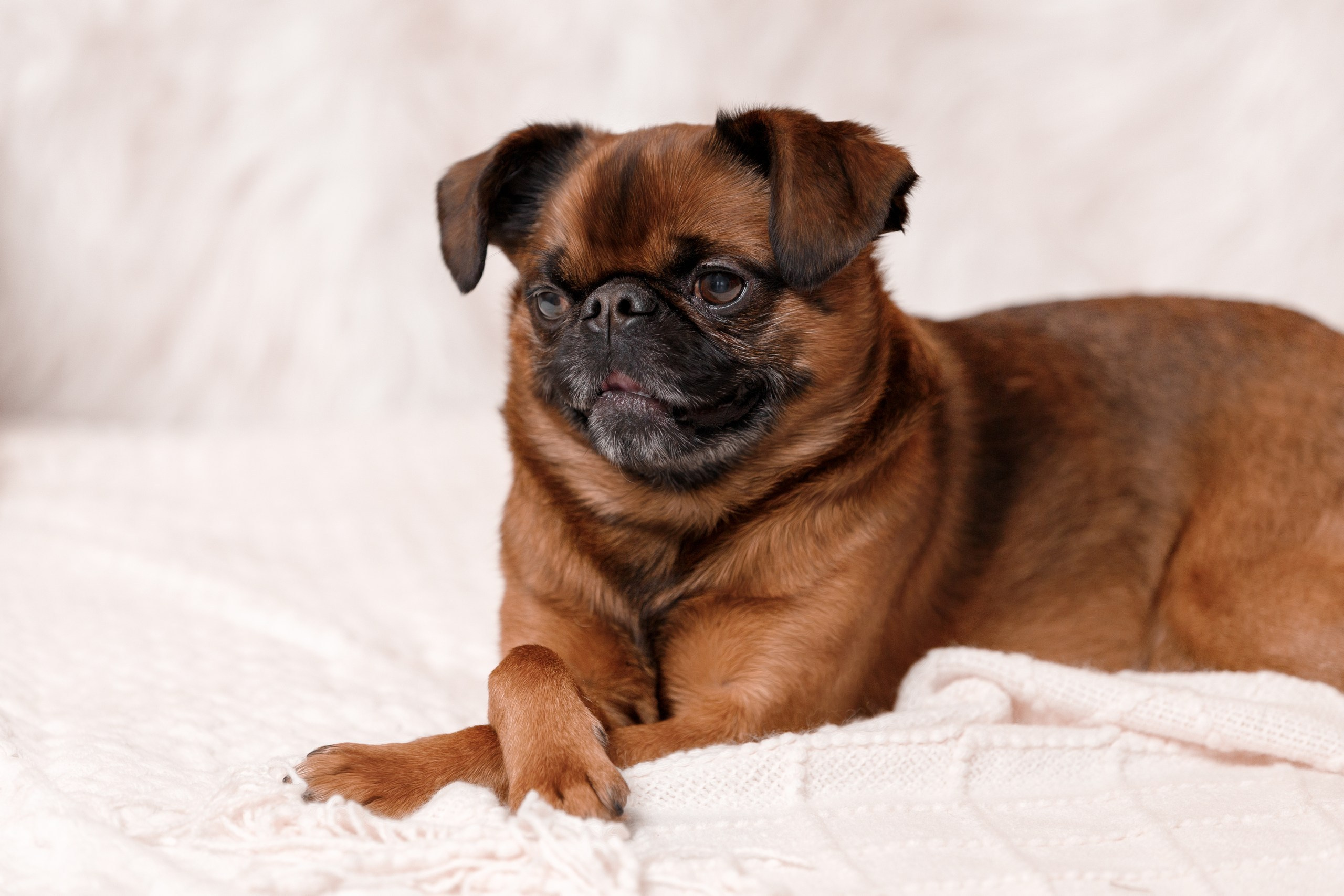 Мария и Арки. Фотограф-анималист в Калуге Мария Шерскова