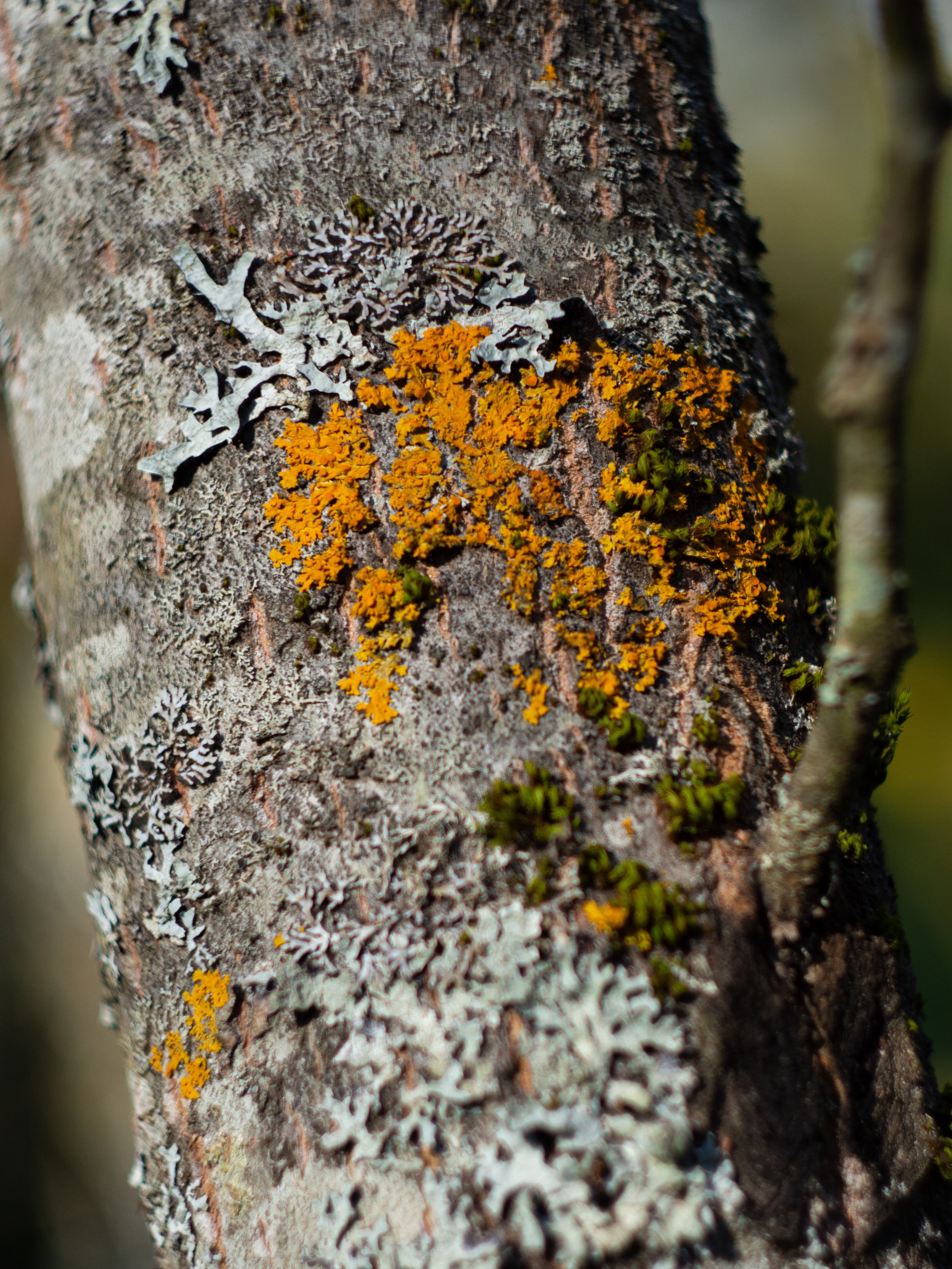 20230923-25 Родники. Дмитрий Ремизов. Фотография, как хобби