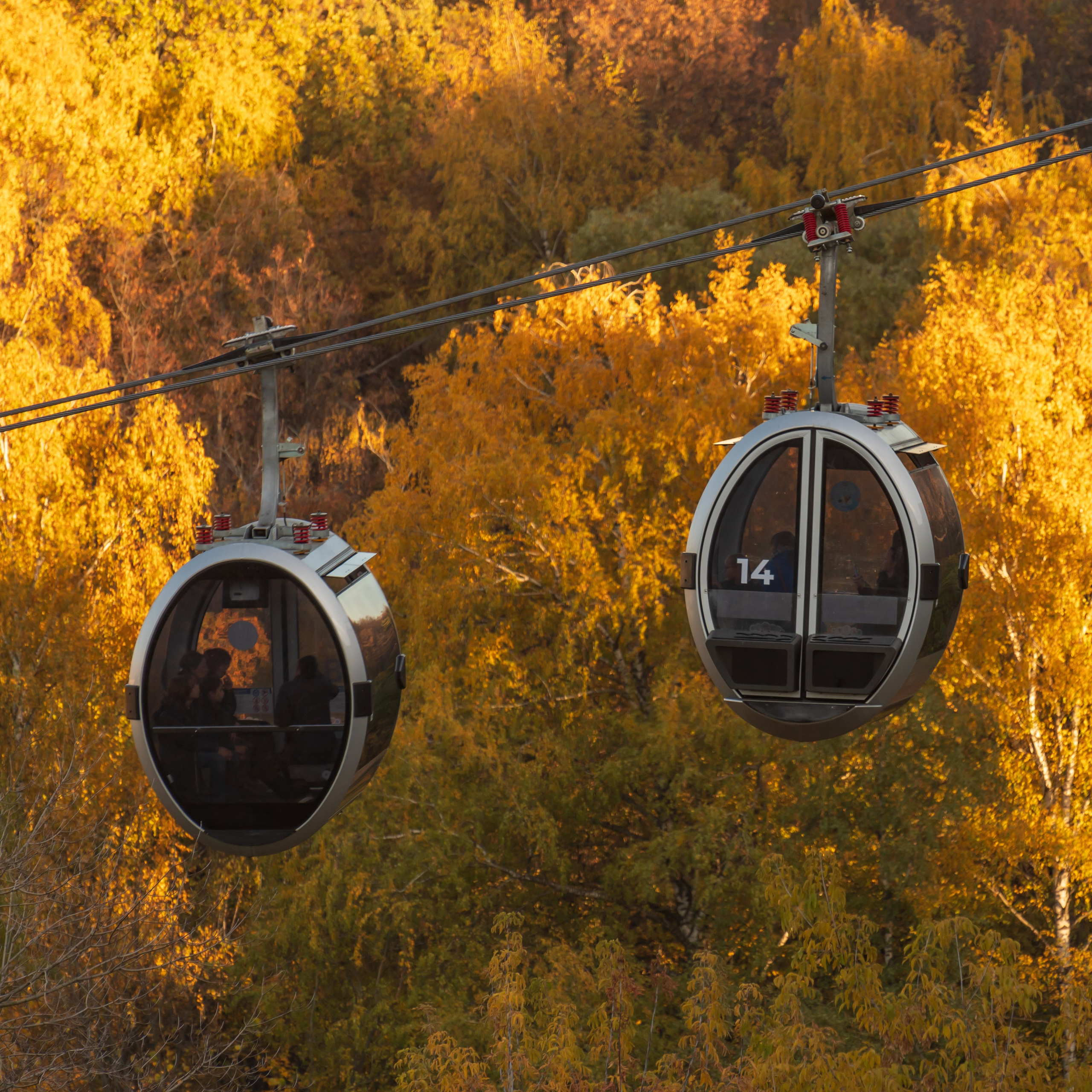 20211010 МГУ. Дмитрий Ремизов. Фотография, как хобби