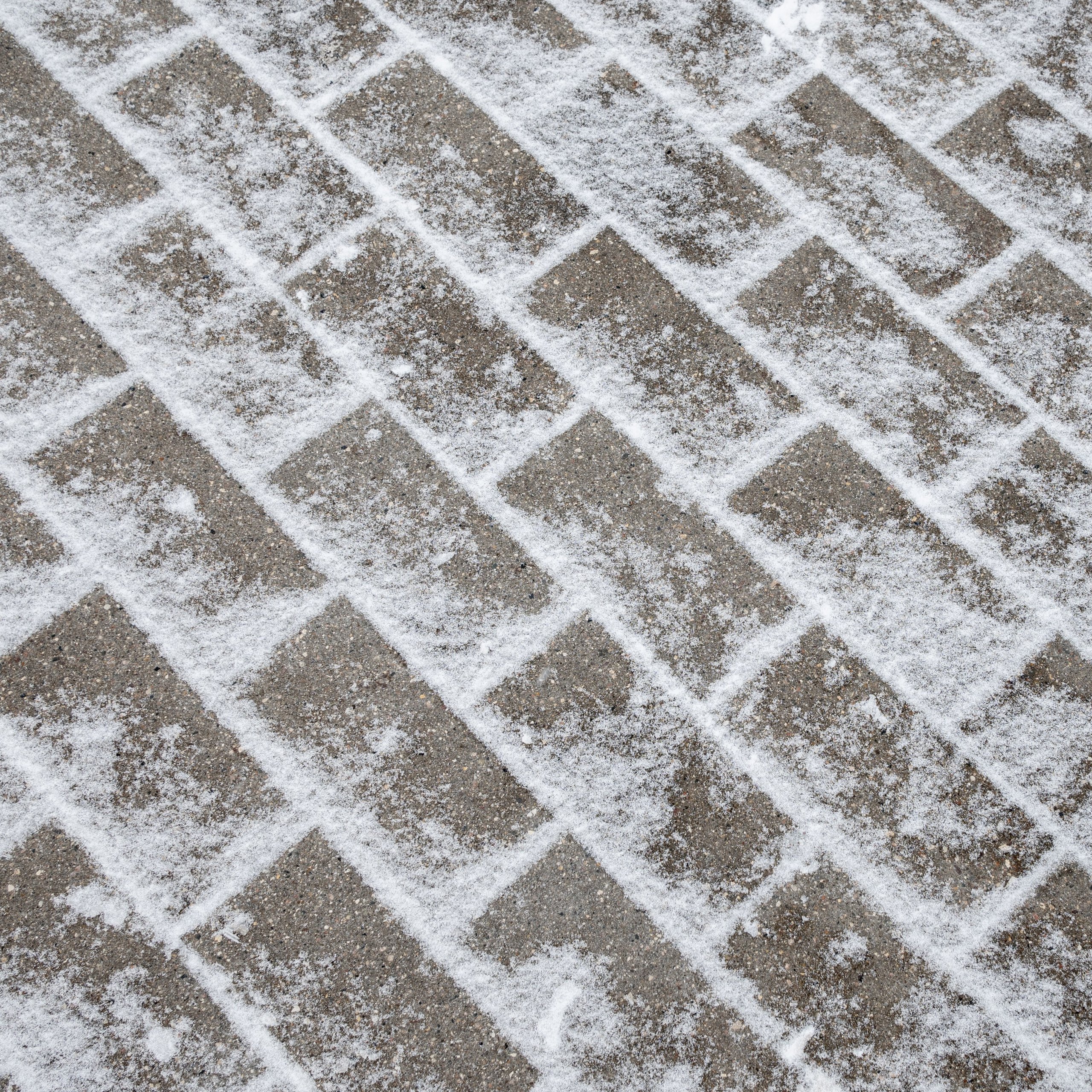 20250216 Нескучный сад. Дмитрий Ремизов. Фотография, как хобби