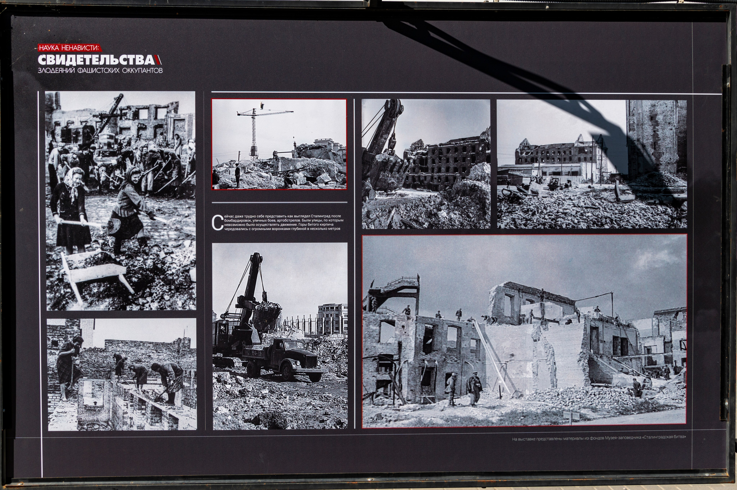 Волгоград. Сентябрь 2023. Фотограф Роман Адлер