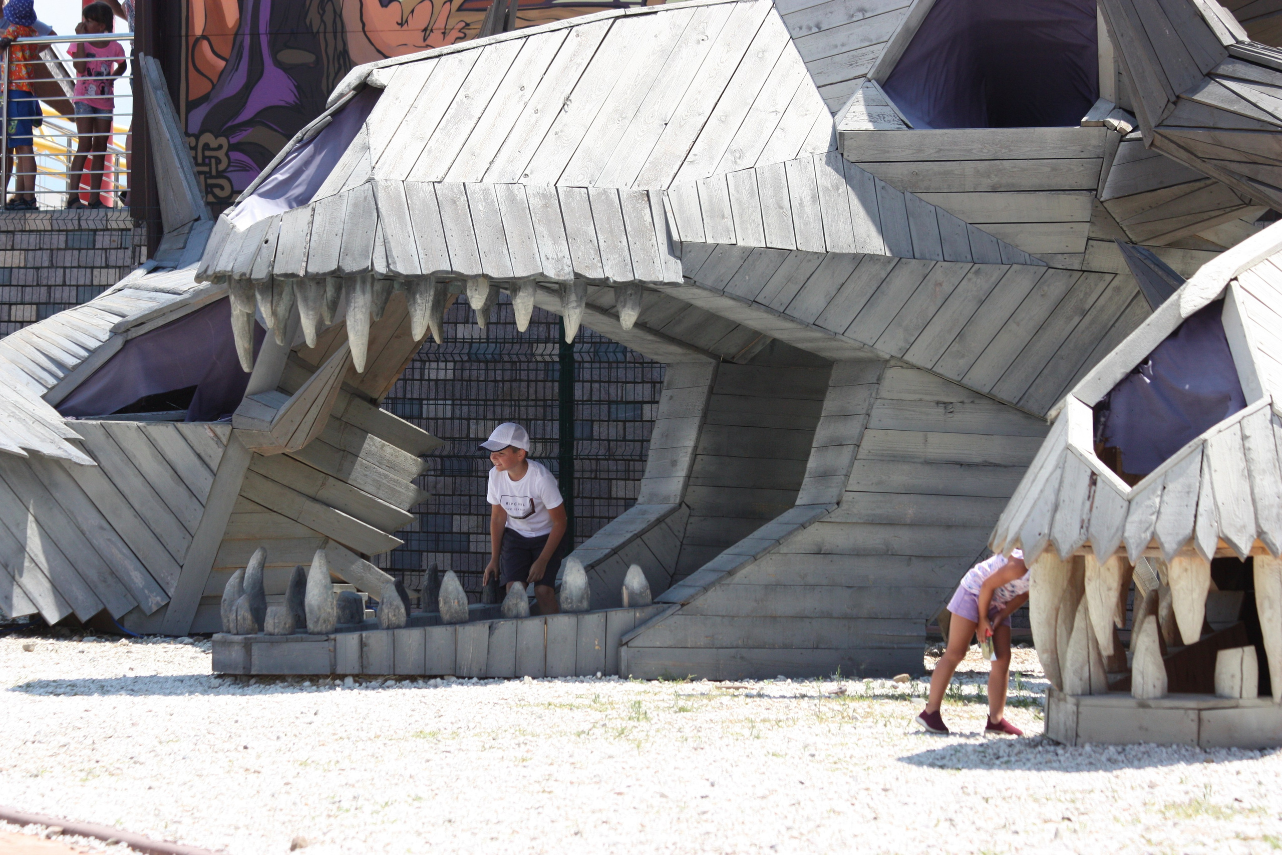 Первые кадры. Сочи — парк. Фотограф Роман Адлер