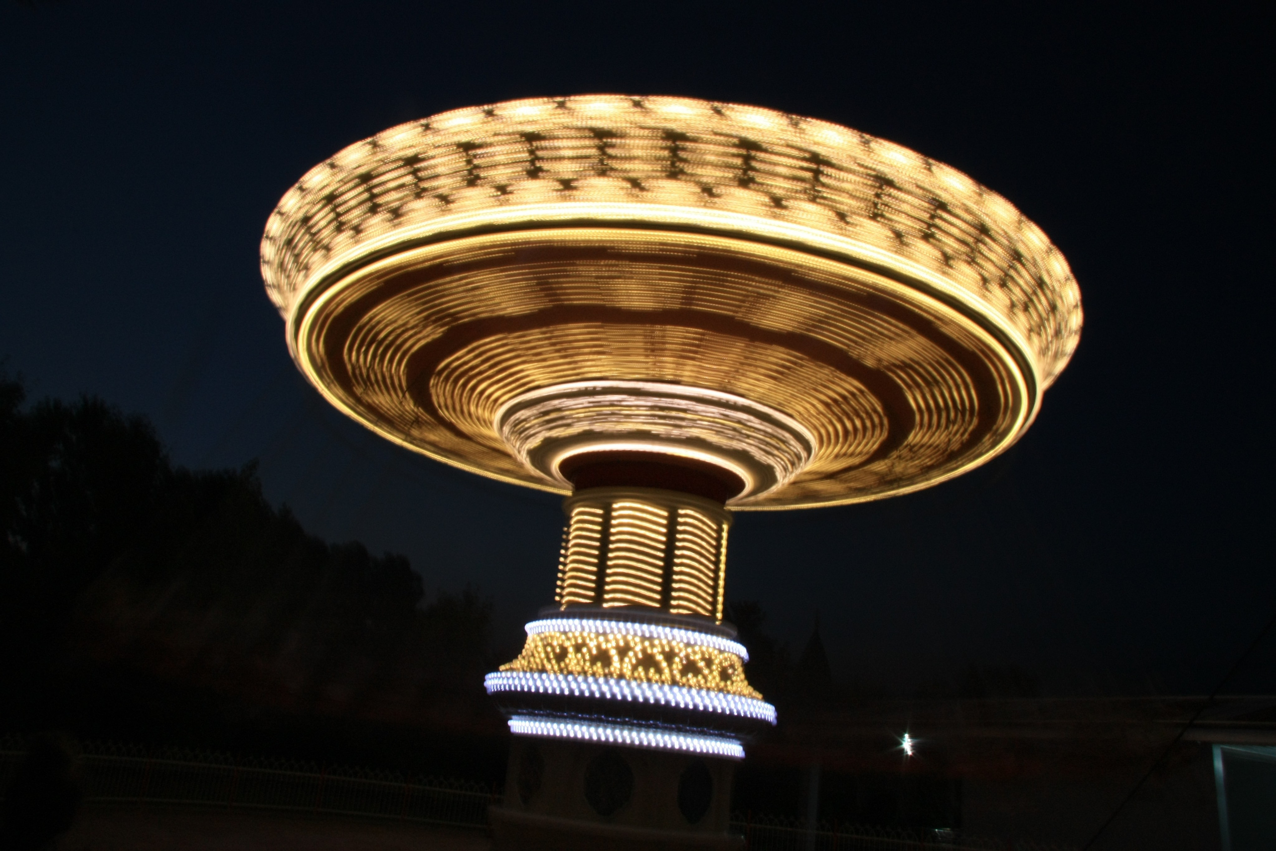 Первые кадры. Сочи — парк. Фотограф Роман Адлер