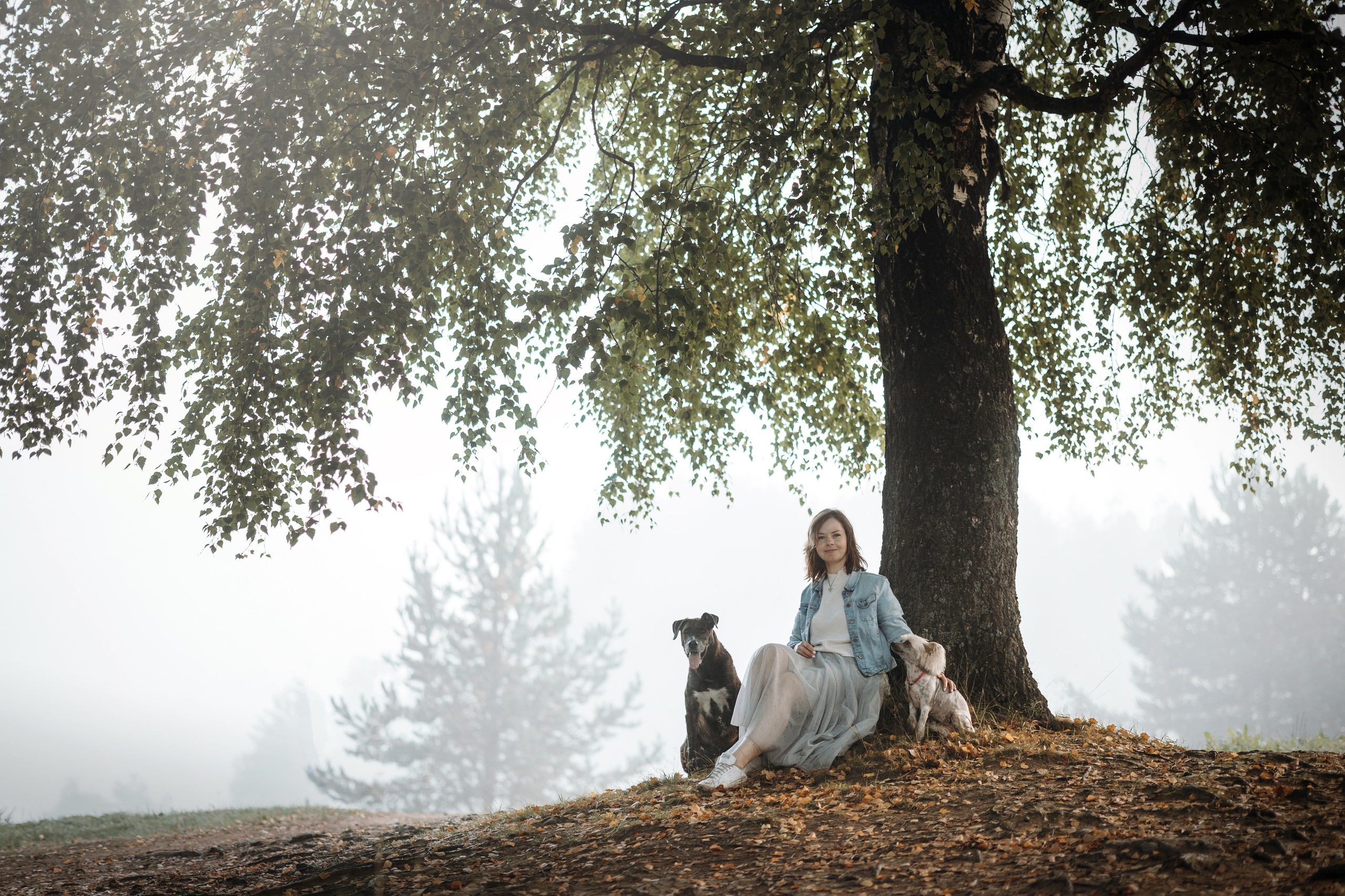 Любовь и ее хвостики. Фотограф — Анималист | Санкт-Петербург