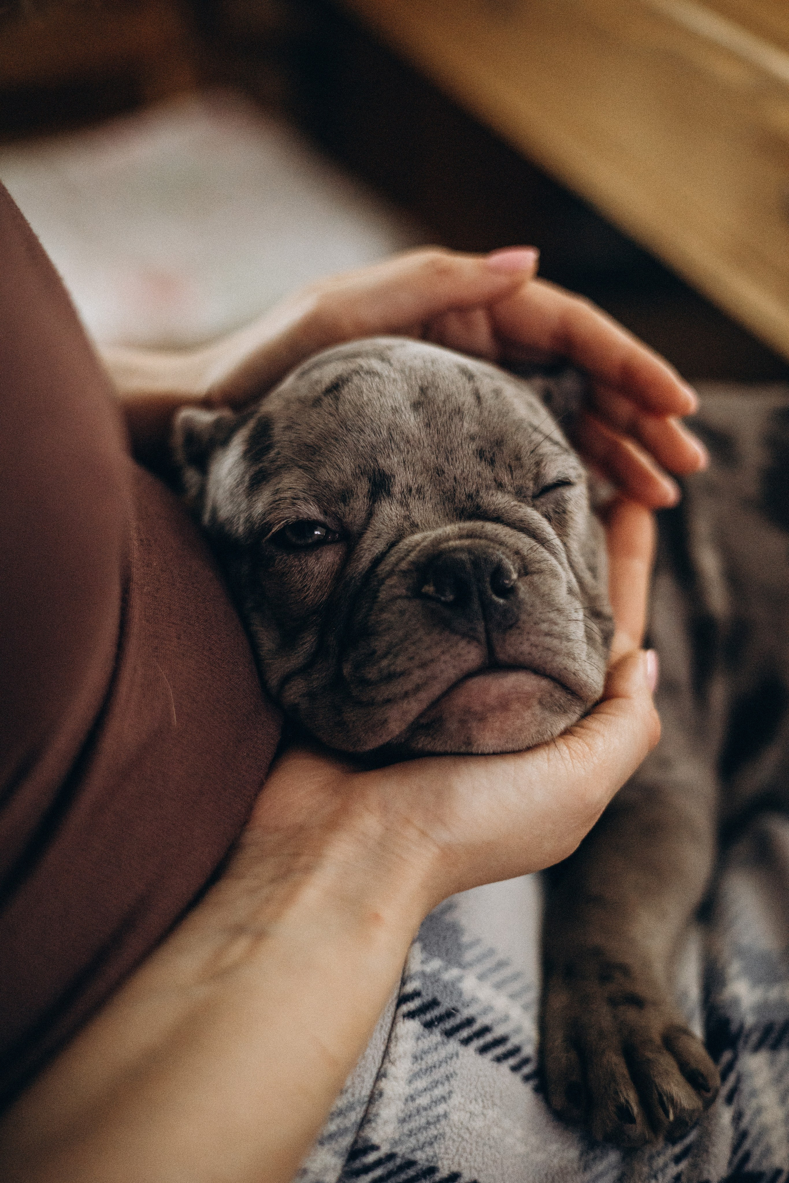 Семейная для Ксюши. Фотограф — Анималист | Санкт-Петербург
