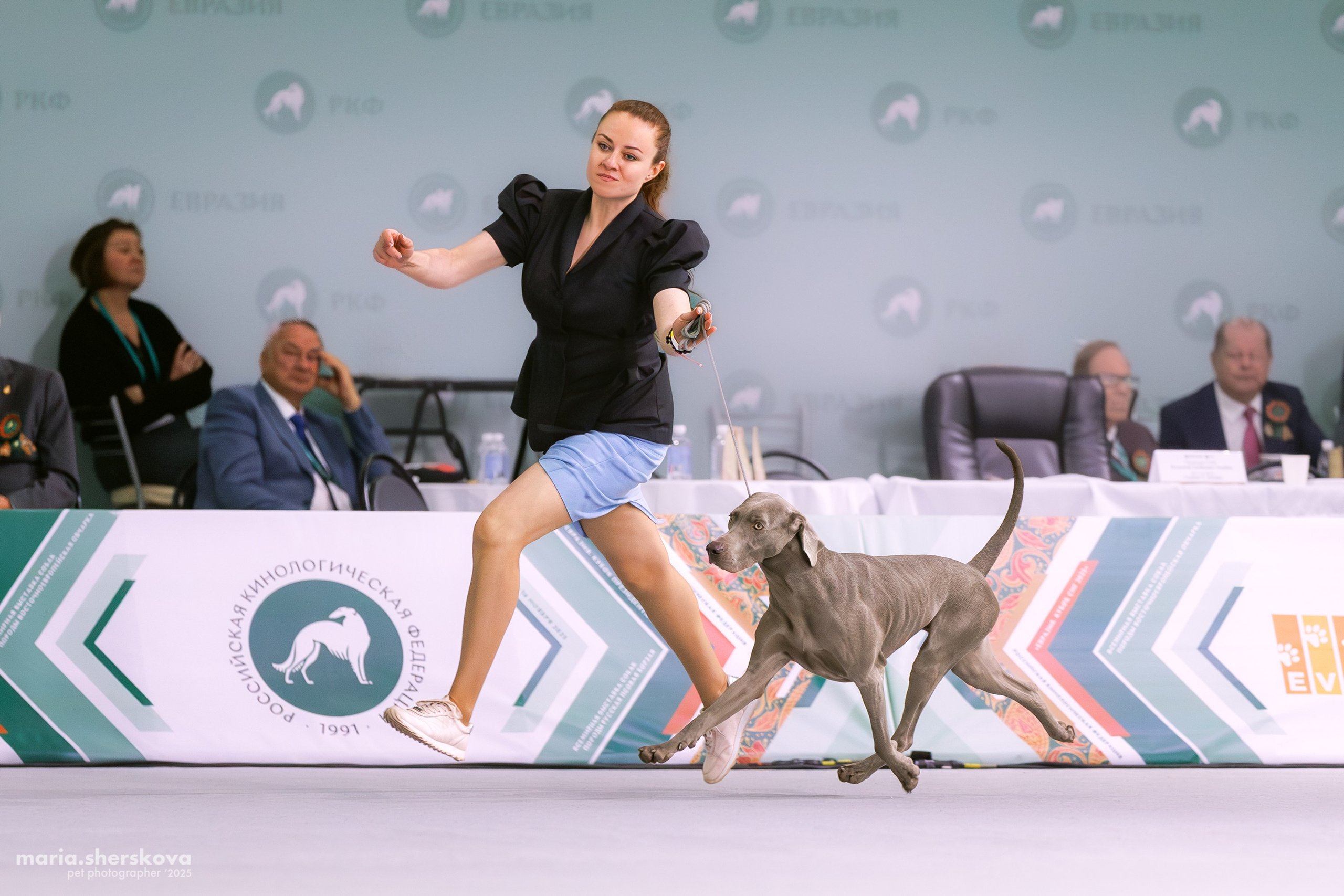 Выставки. Фотограф-анималист в Калуге Мария Шерскова