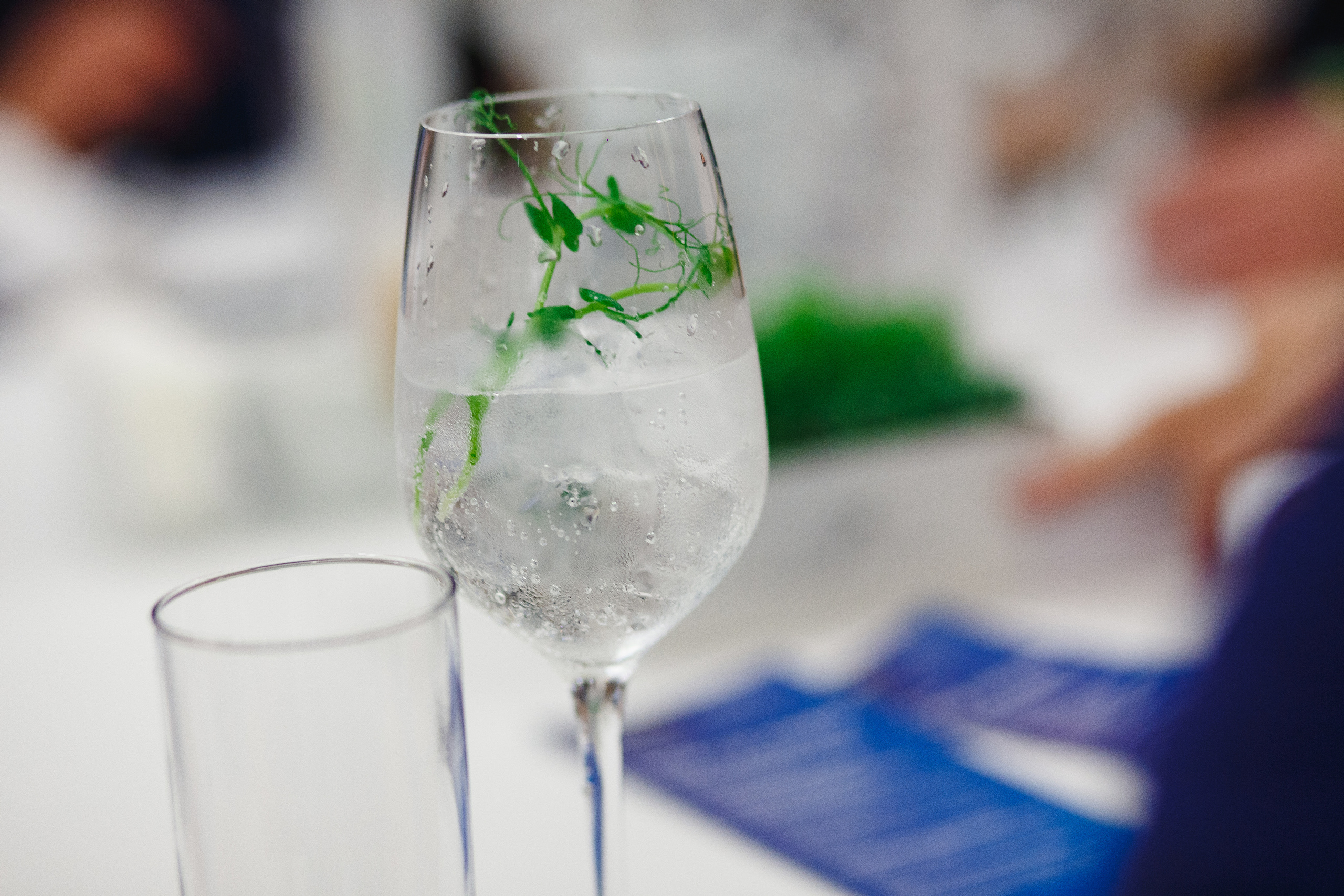 Gastronomic Festival “Gastreet”. Photographer Nikita Starodubtsev Serbia, Montenegro, Georgia, Turkey