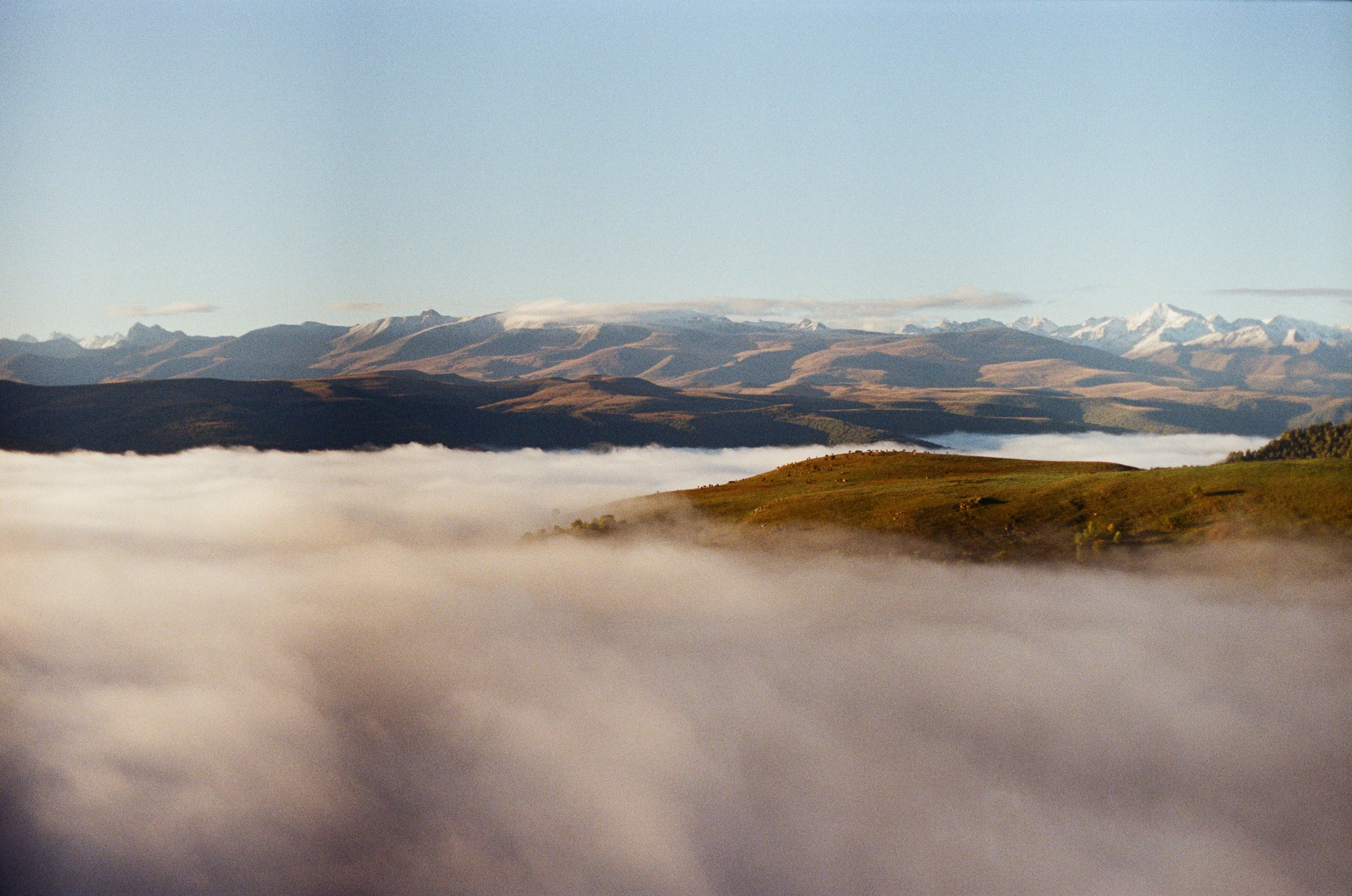 Пленочная фотография. Фотограф в Ростове-на-Дону