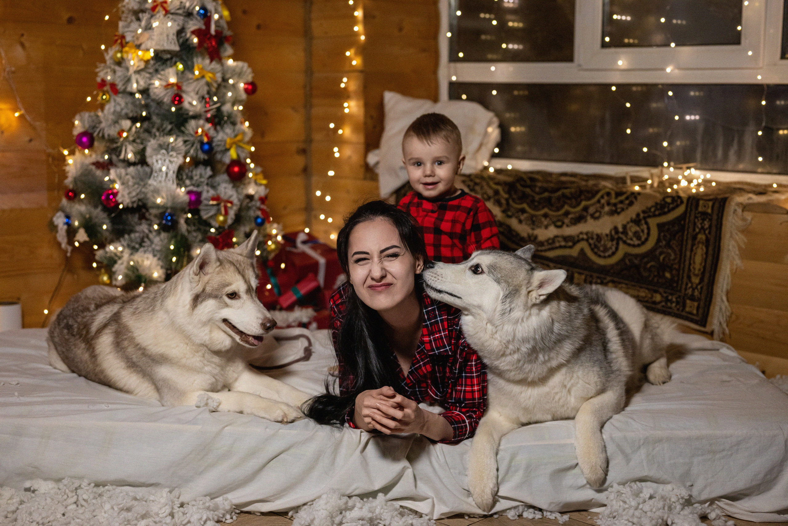 Фотопроект с хаски 2024 г. Фотограф в городе Салават